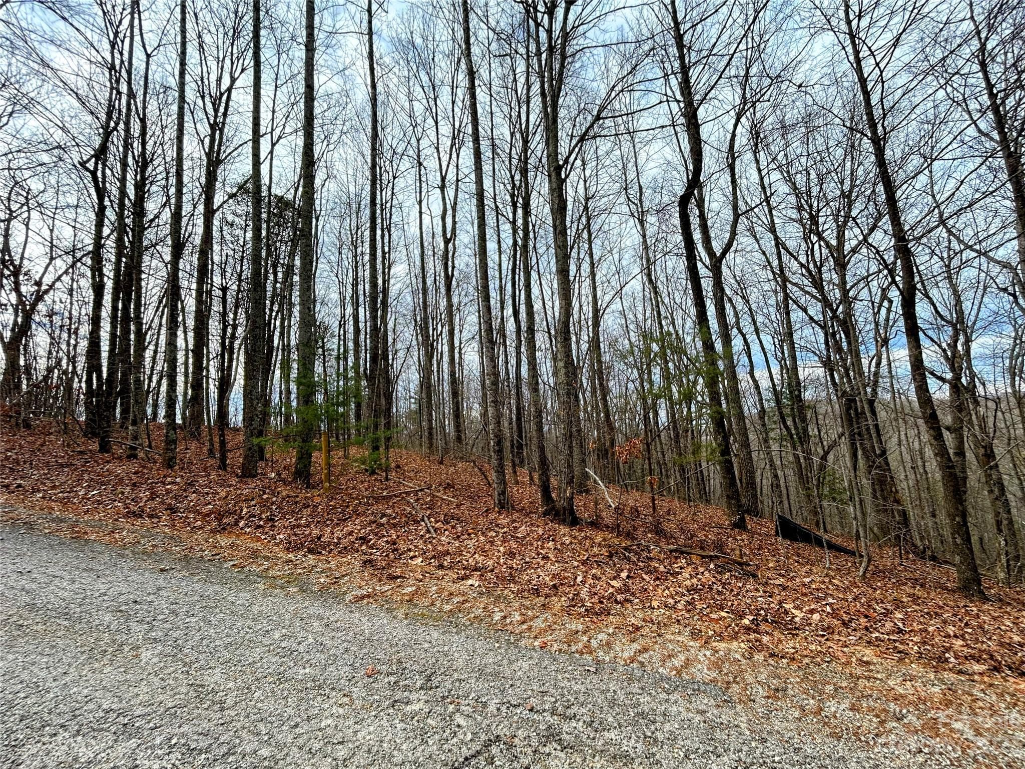 Lot at Lot 12 Rhododendron Drive, Saluda, photo 13 of 17