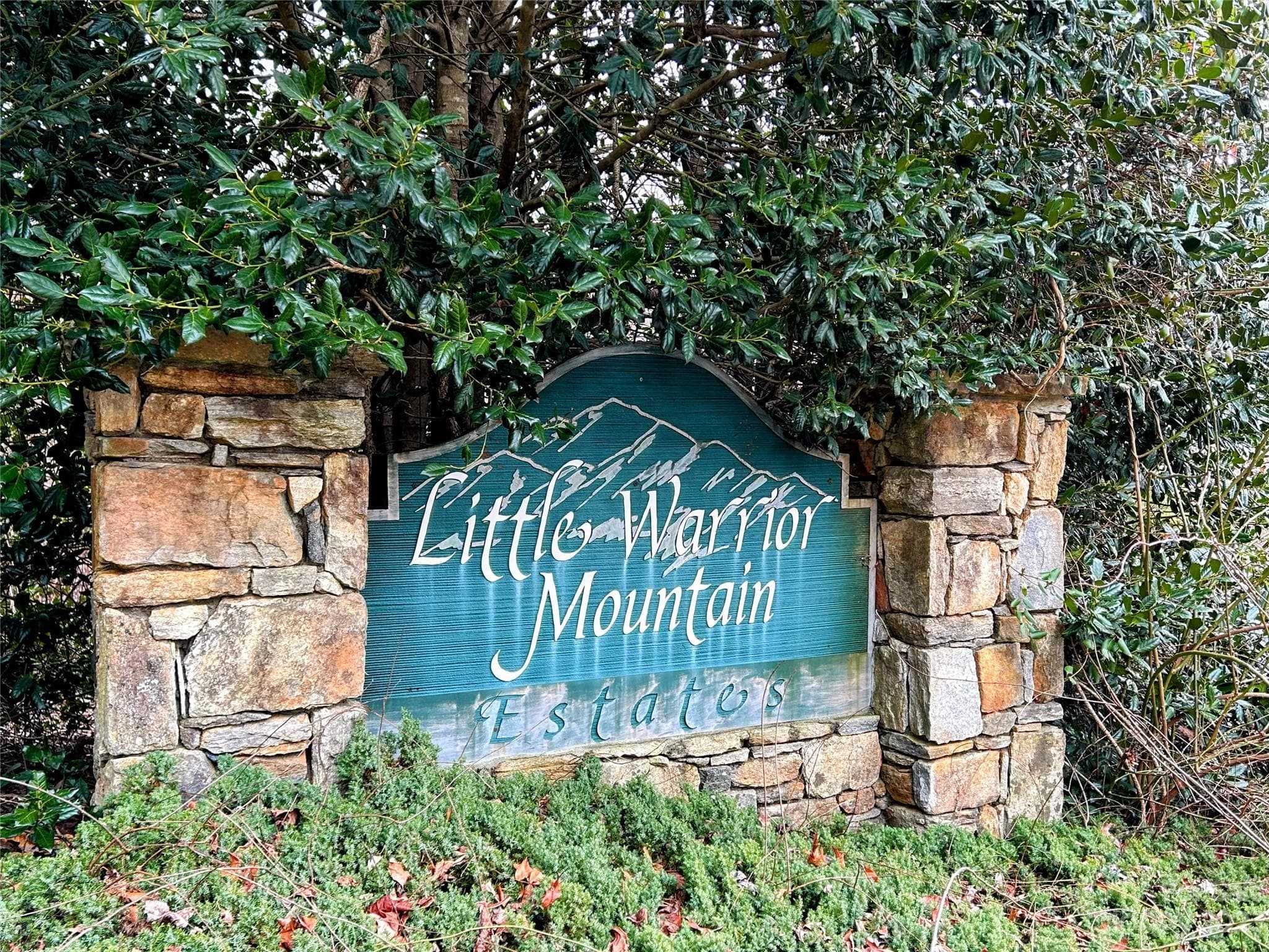 Lot at Lot 12 Rhododendron Drive, Saluda, photo 17 of 17