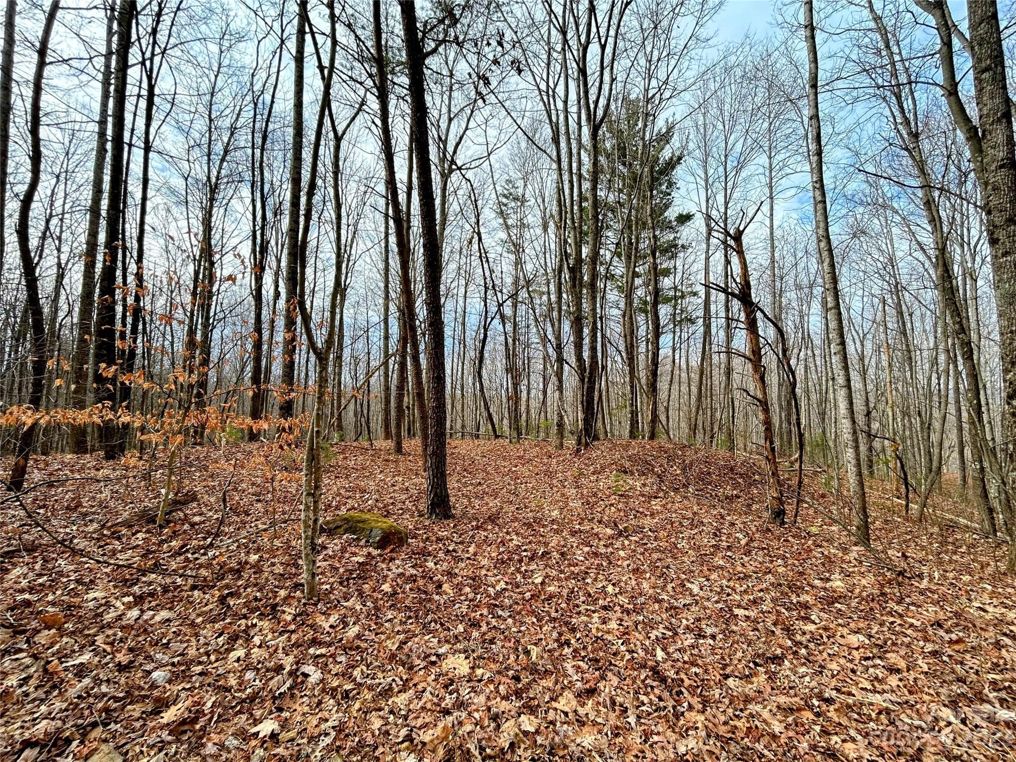 Lot at Lot 14 Rhododendron Drive, Saluda, photo 2 of 16