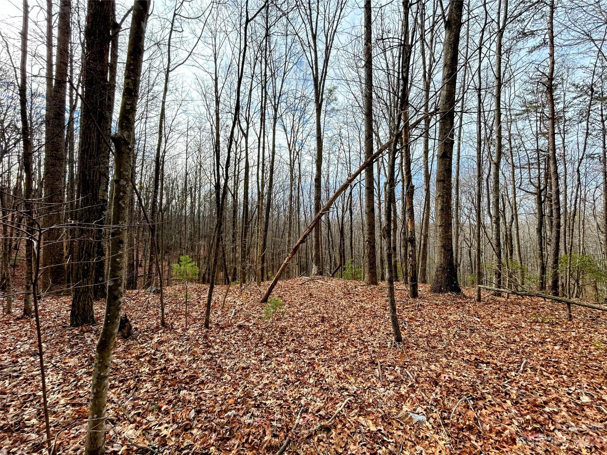 Lot at Lot 14 Rhododendron Drive, Saluda, photo 3 of 16
