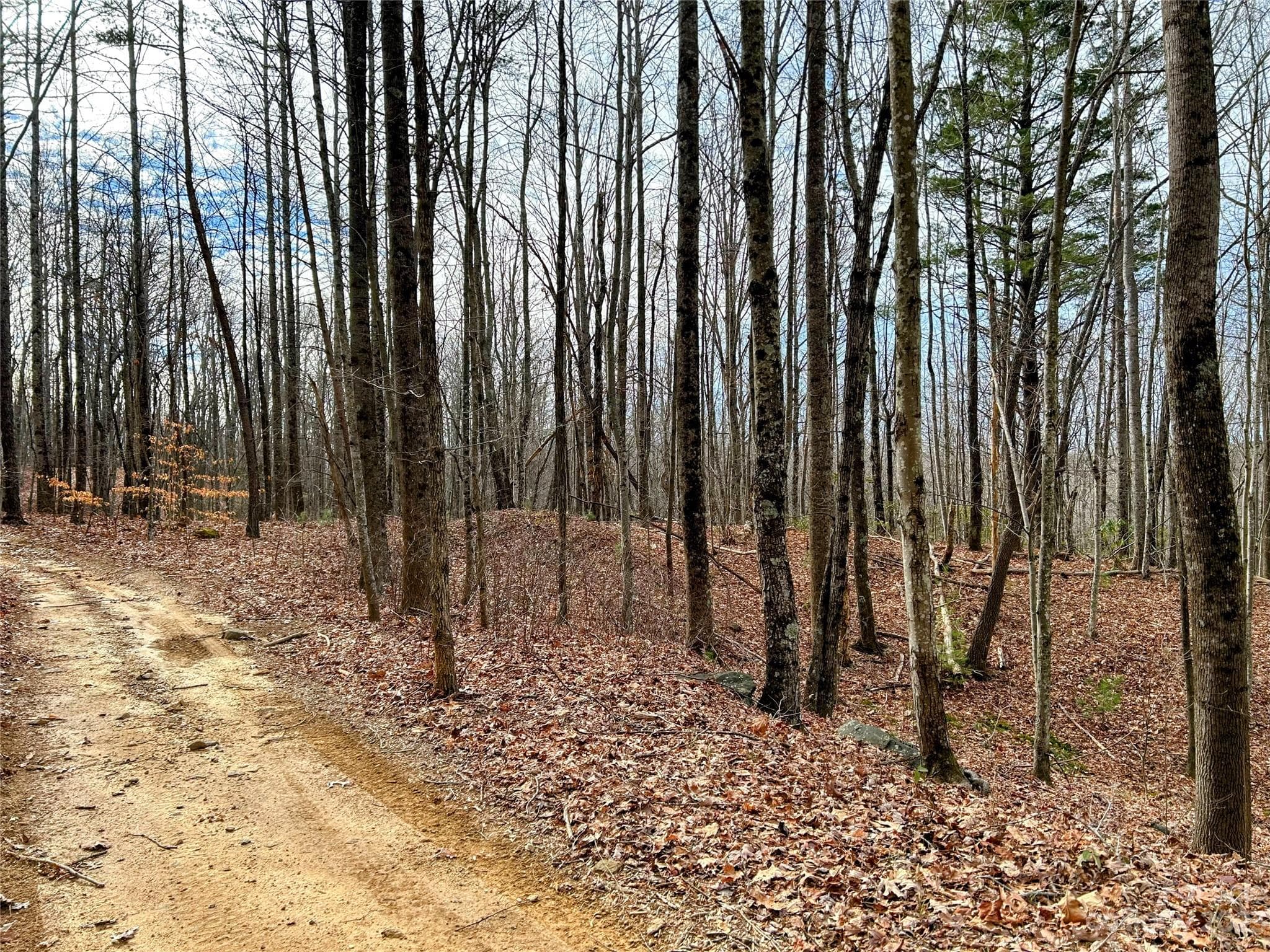 Lot at Lot 14 Rhododendron Drive, Saluda, photo 4 of 16