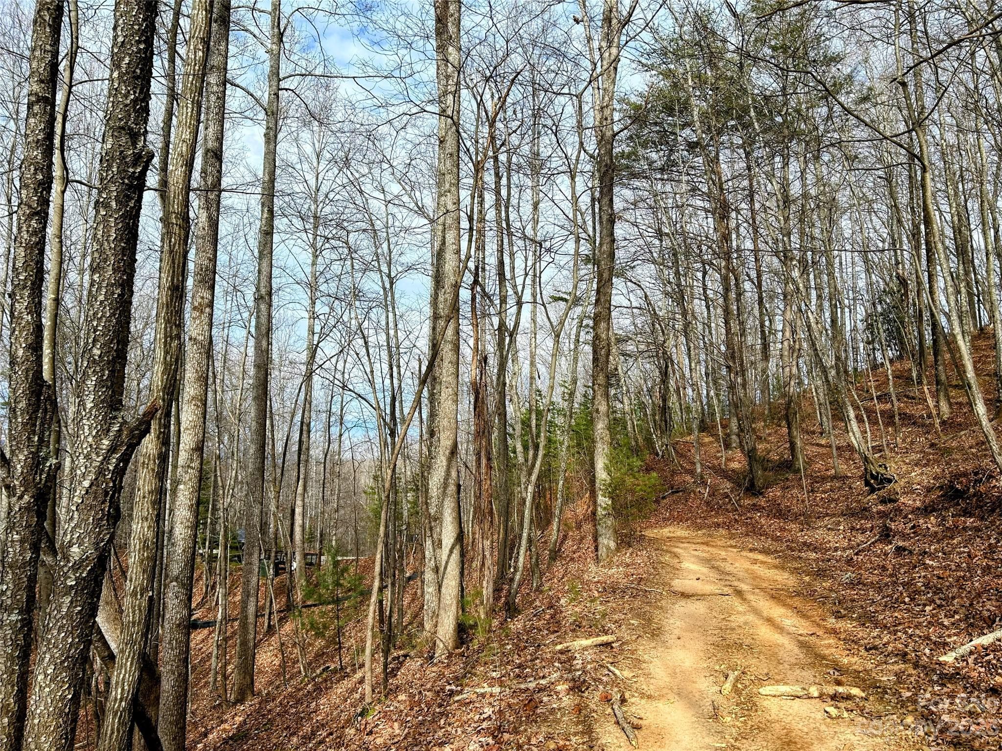 Lot at Lot 14 Rhododendron Drive, Saluda, photo 5 of 16