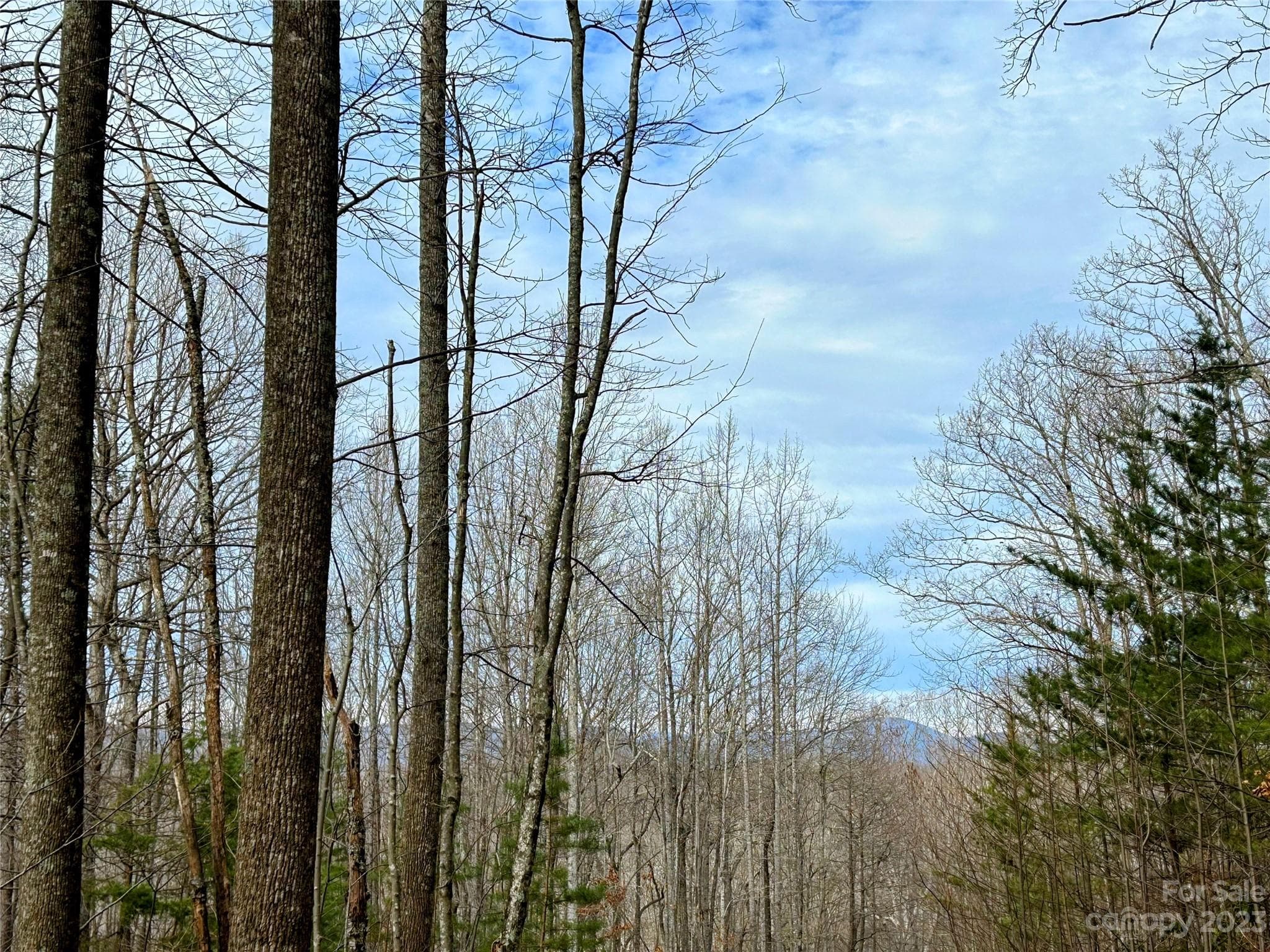 Lot at Lot 14 Rhododendron Drive, Saluda, photo 6 of 16