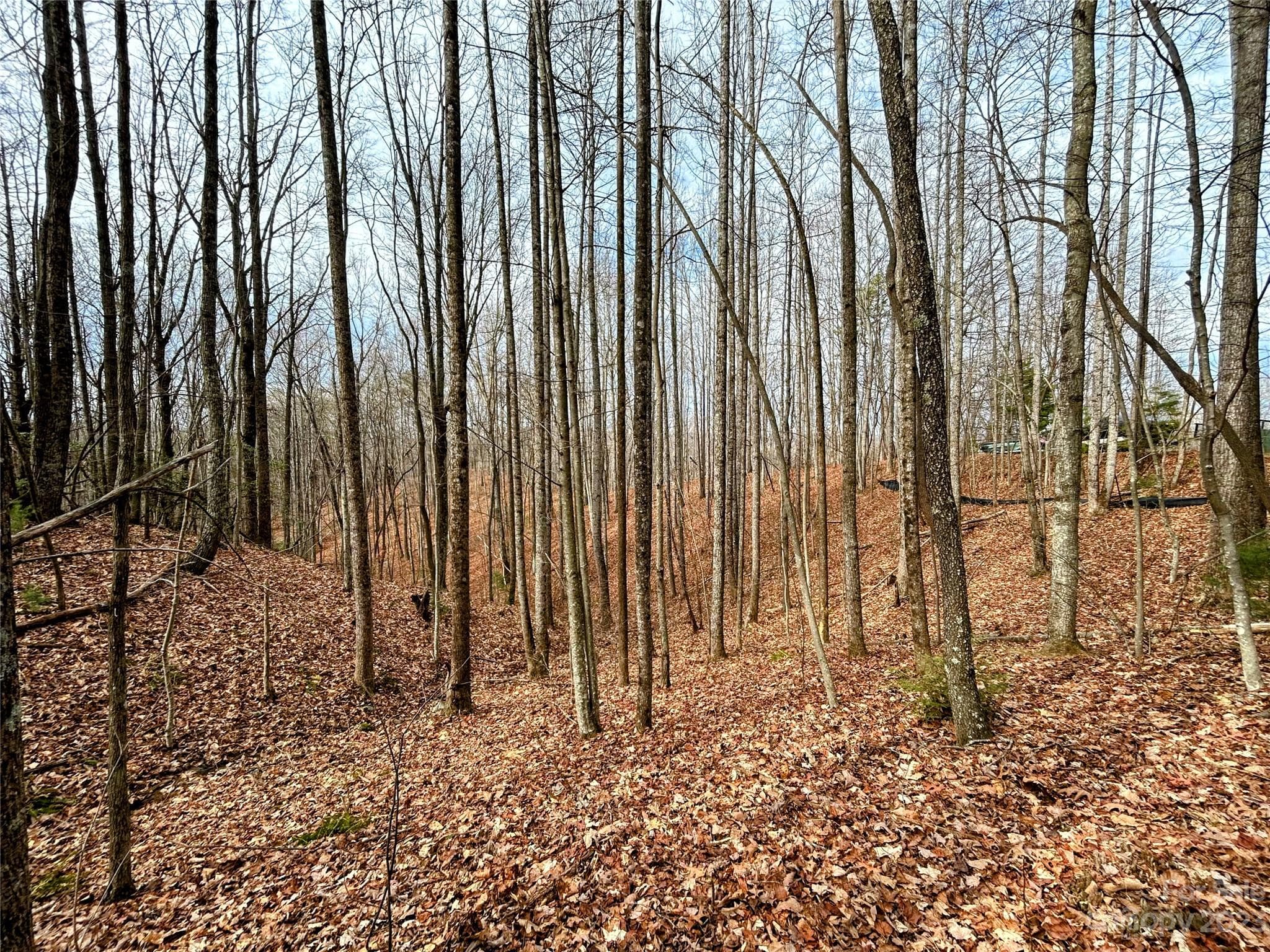 Lot at Lot 14 Rhododendron Drive, Saluda, photo 7 of 16