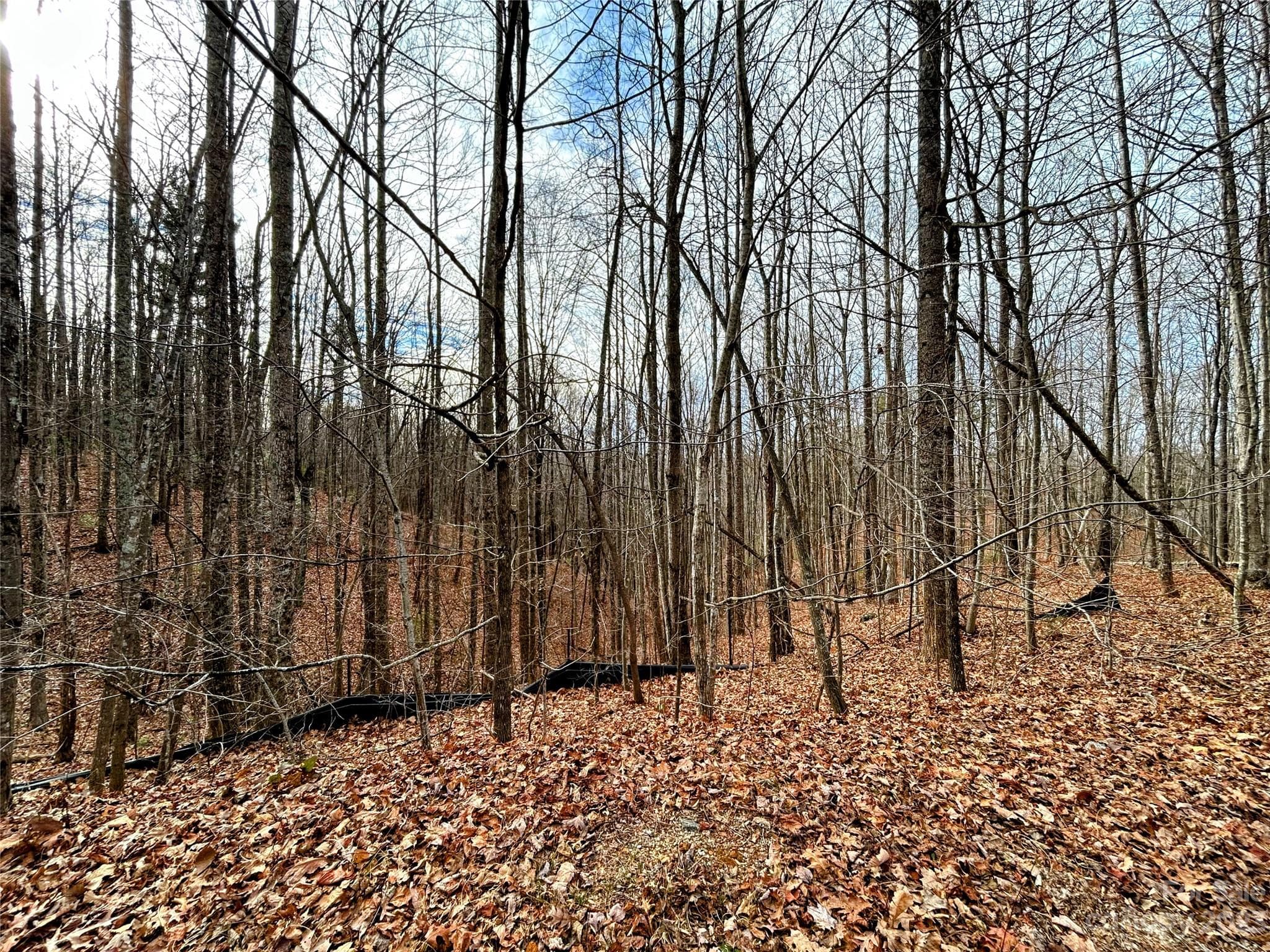 Lot at Lot 14 Rhododendron Drive, Saluda, photo 8 of 16