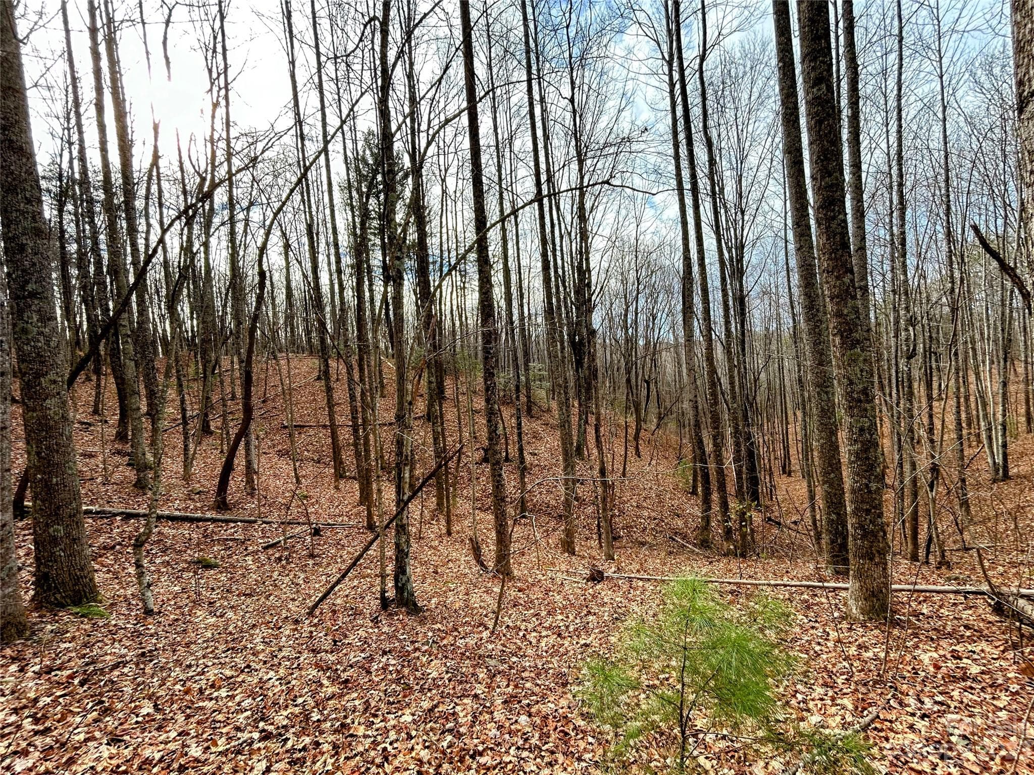Lot at Lot 14 Rhododendron Drive, Saluda, photo 10 of 16