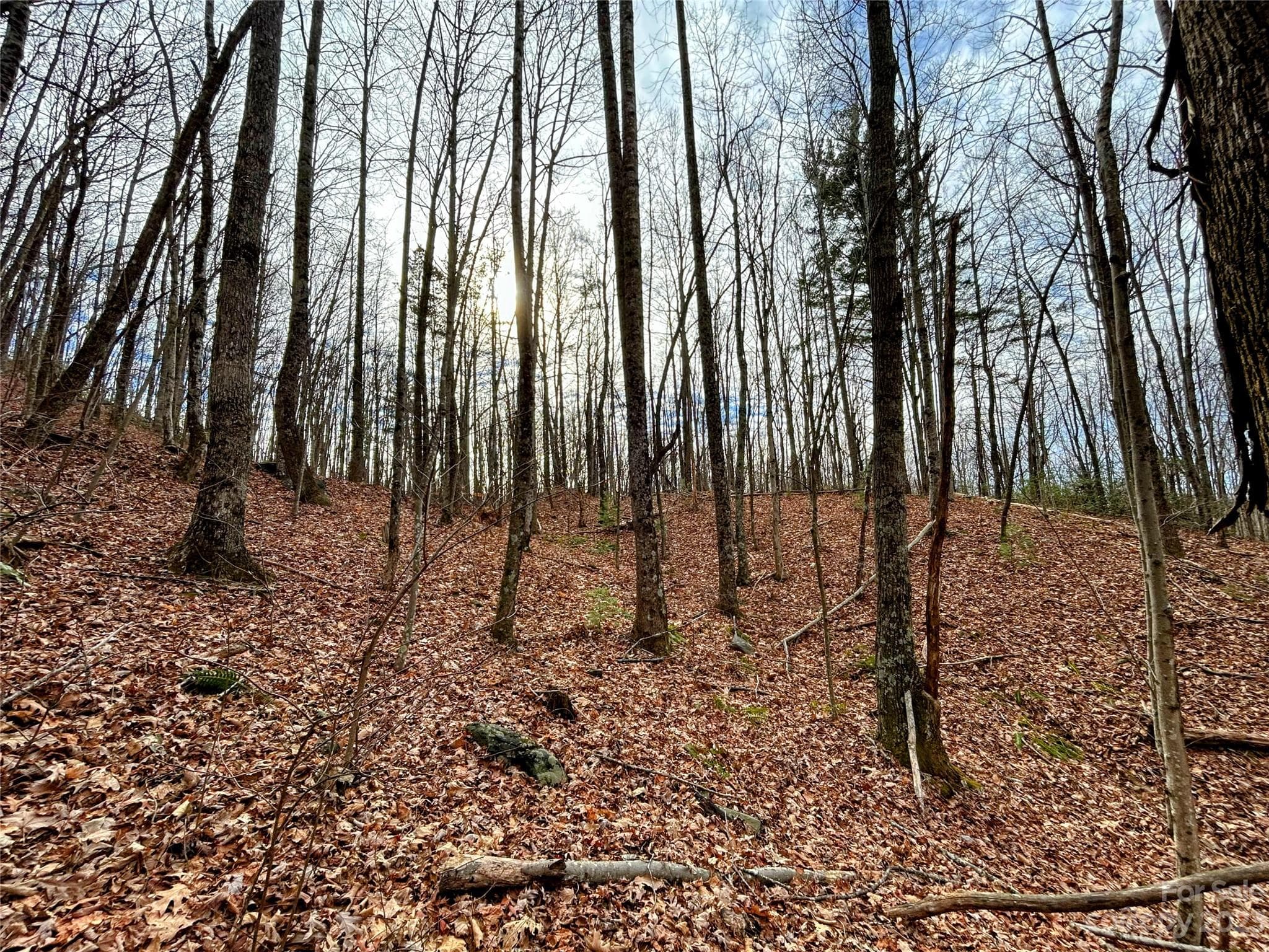 Lot at Lot 14 Rhododendron Drive, Saluda, photo 11 of 16