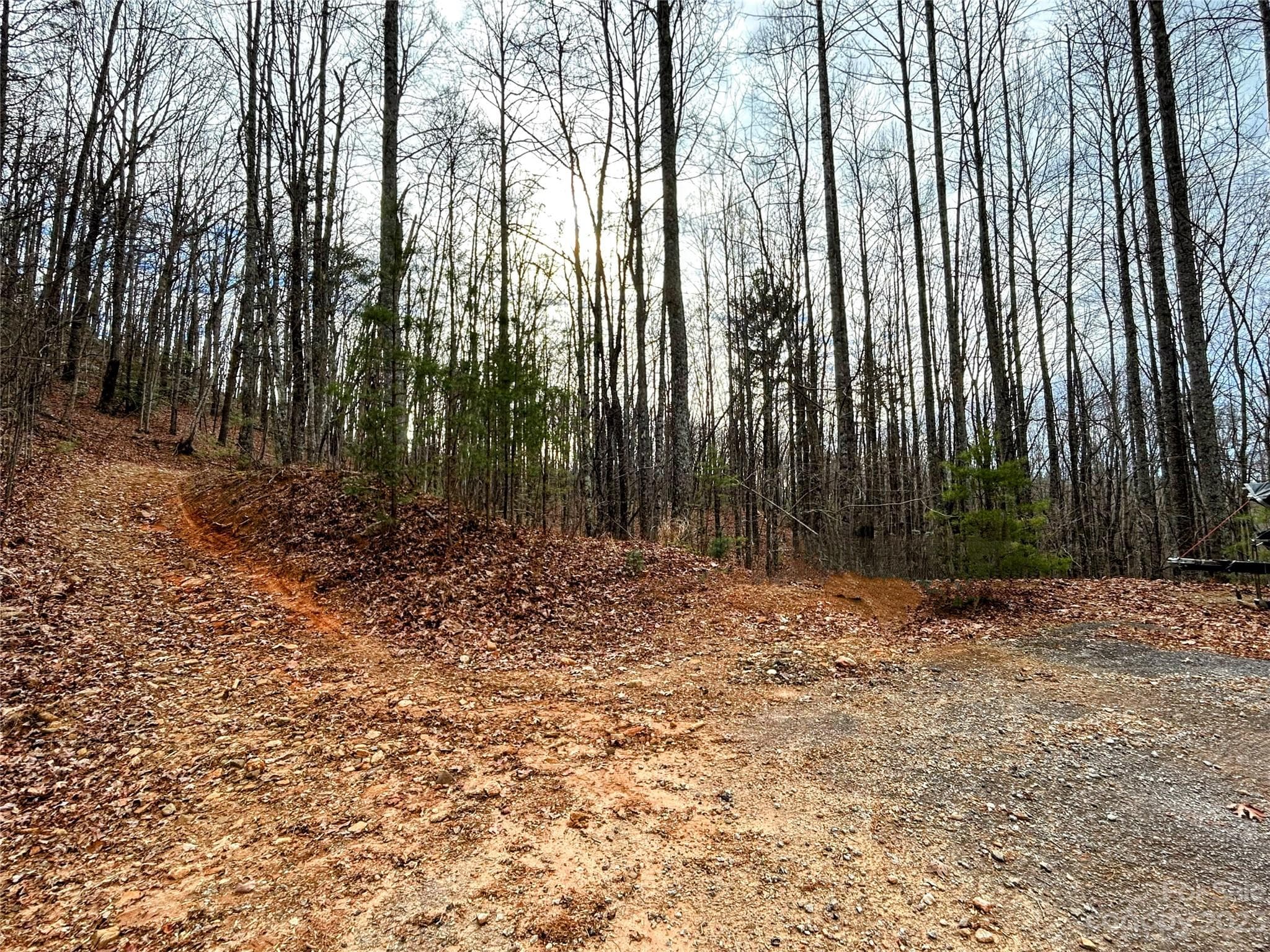 Lot at Lot 14 Rhododendron Drive, Saluda, photo 12 of 16