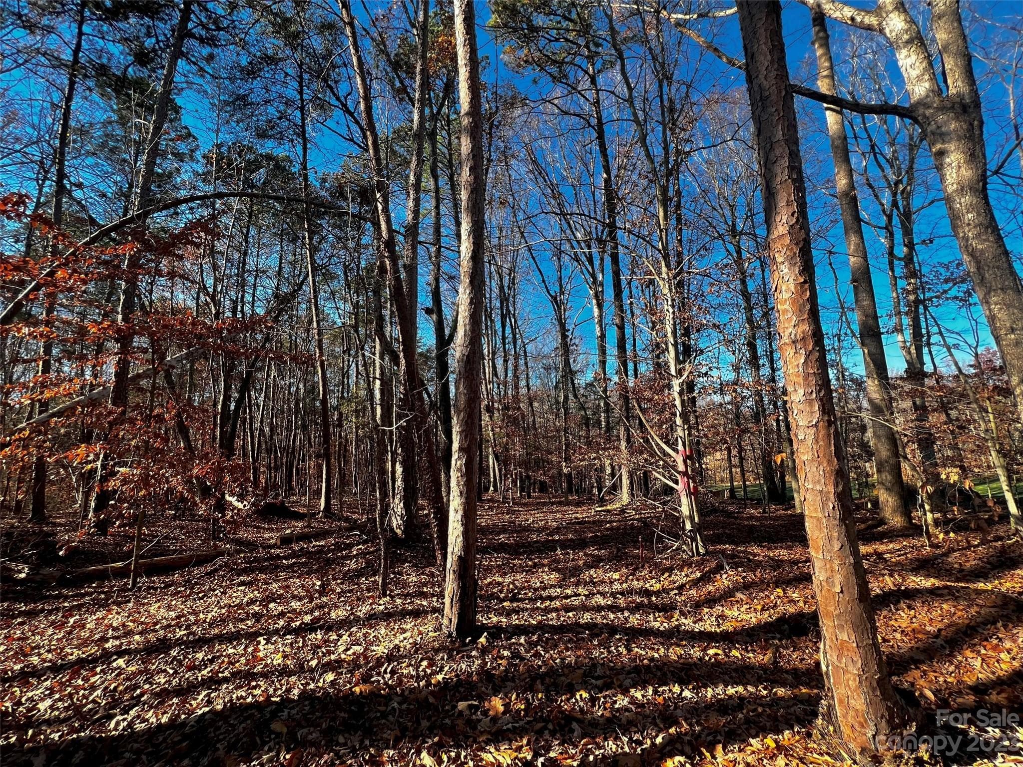 Lot at Davidson, photo 2 of 20