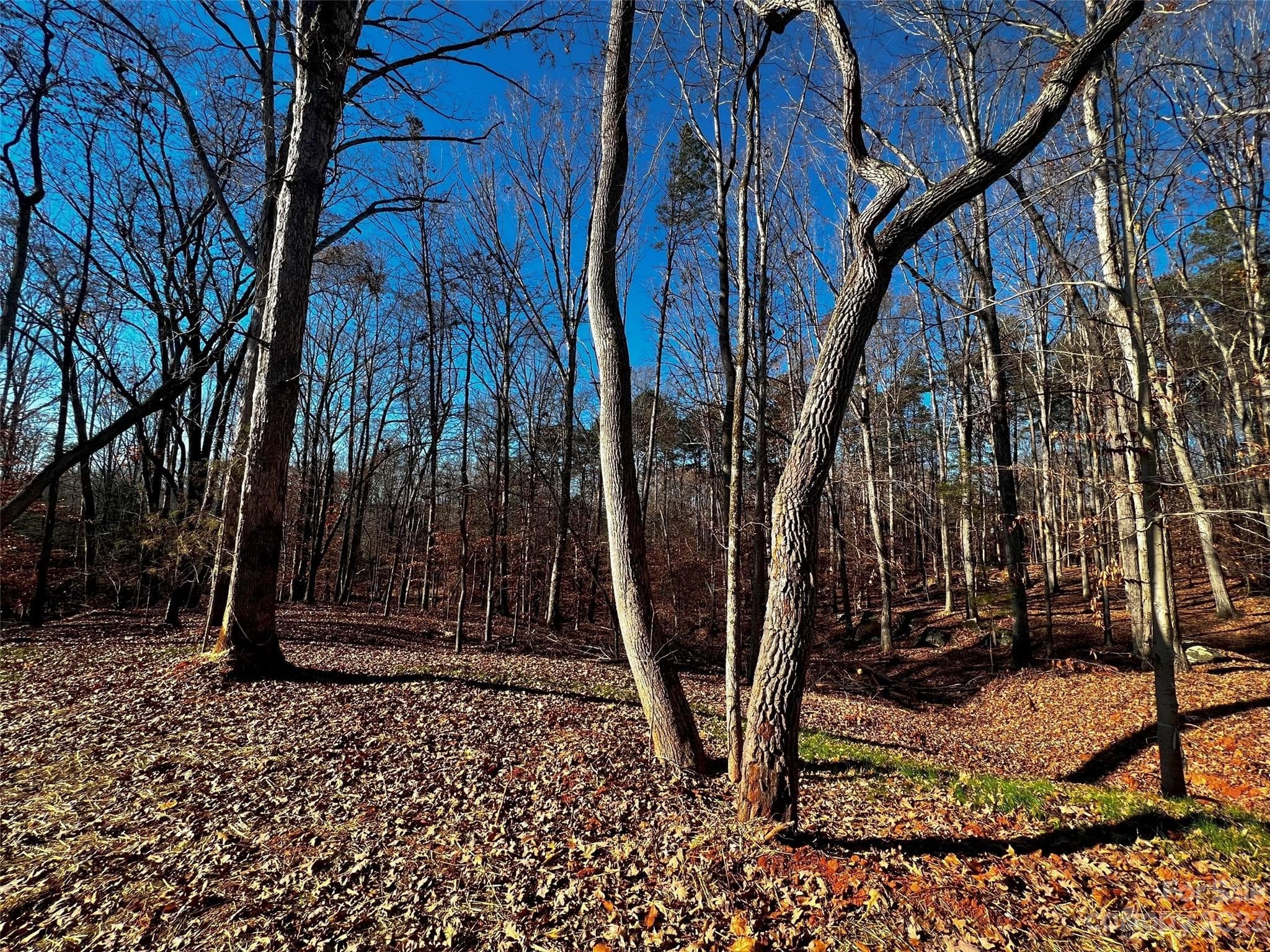 Lot at Davidson, photo 2 of 22