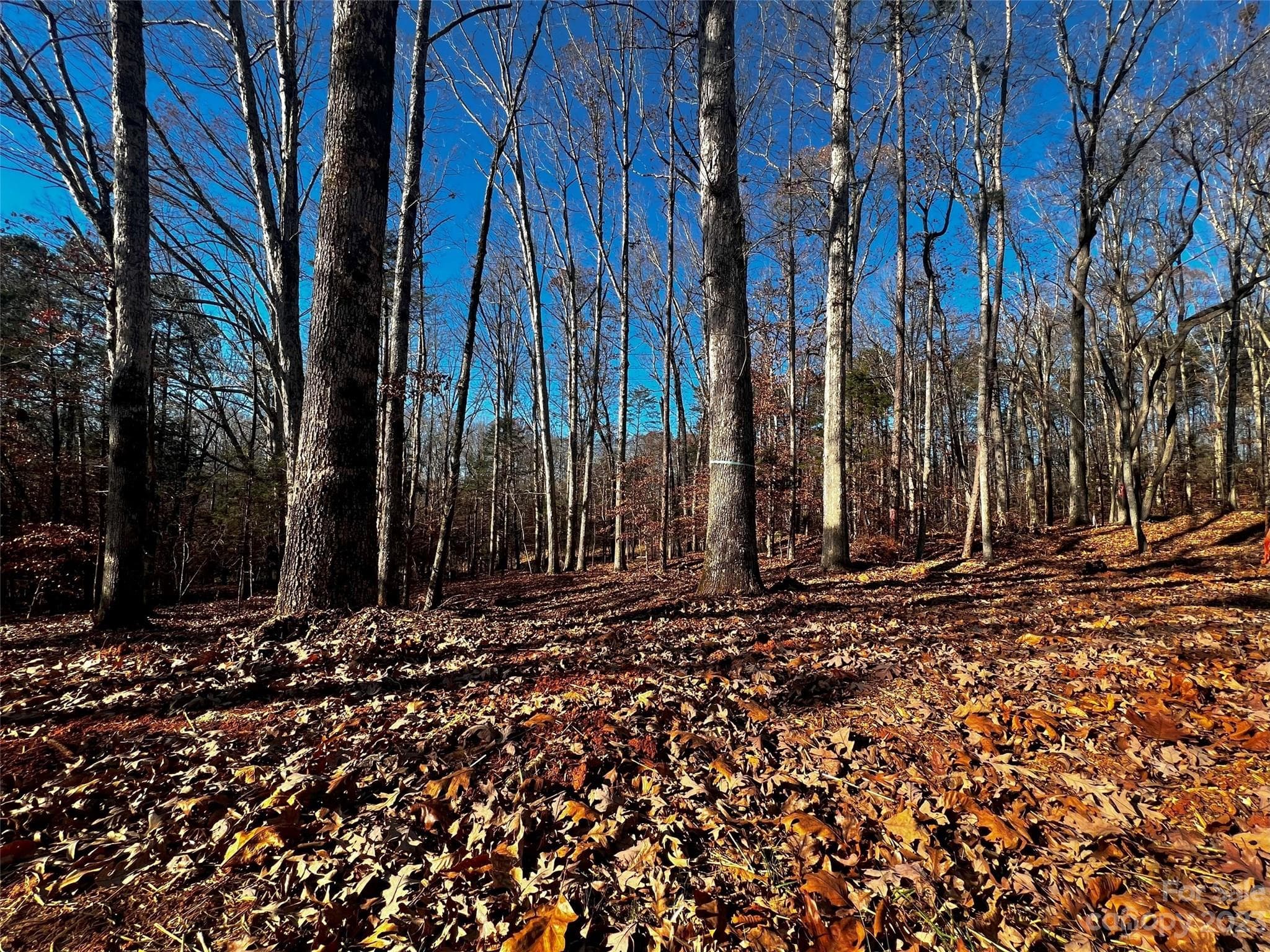 Lot at Davidson, photo 2 of 21