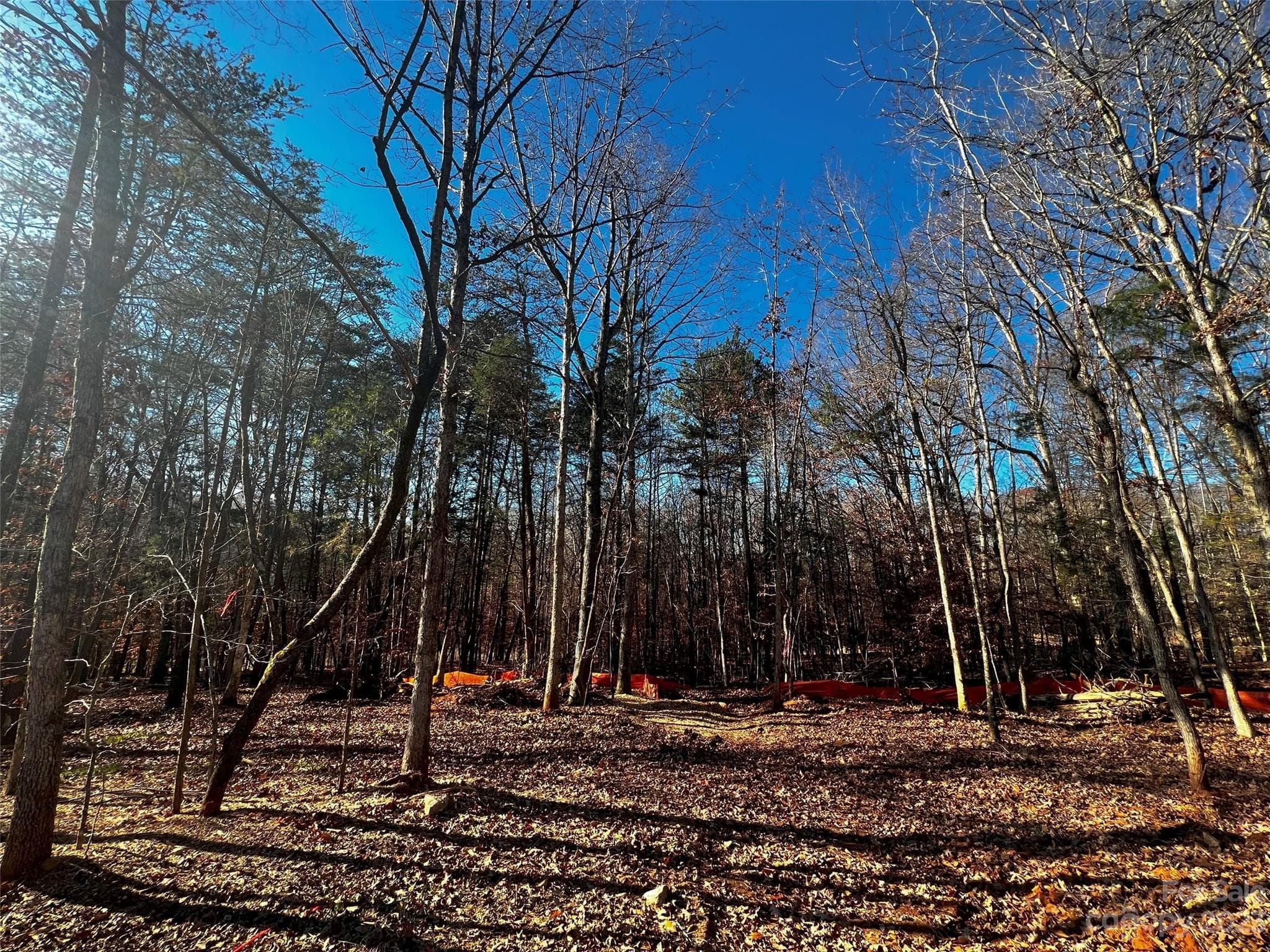 Lot at Davidson, photo 2 of 21