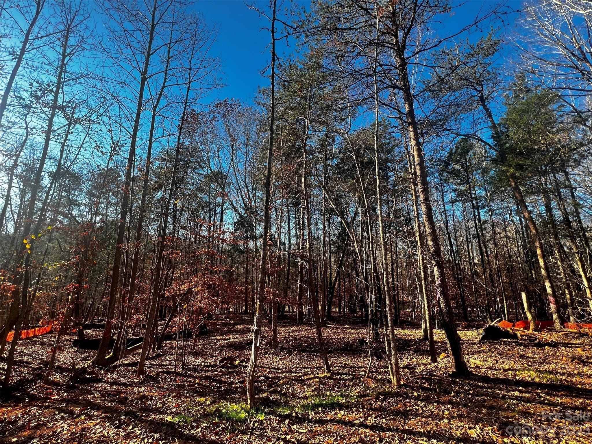 Lot at Davidson, photo 3 of 21