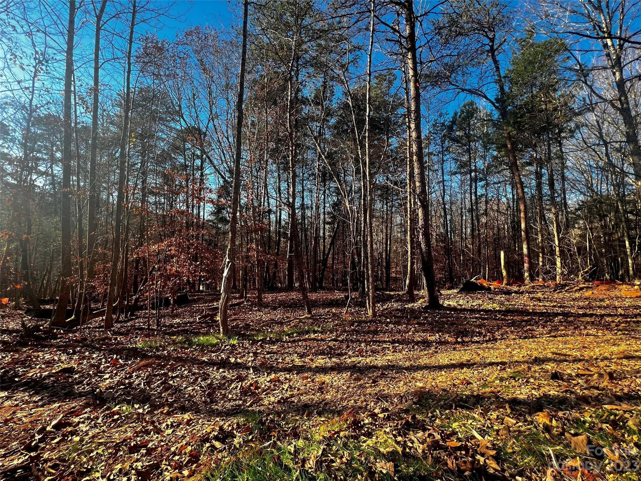 Lot at Davidson, photo 4 of 21