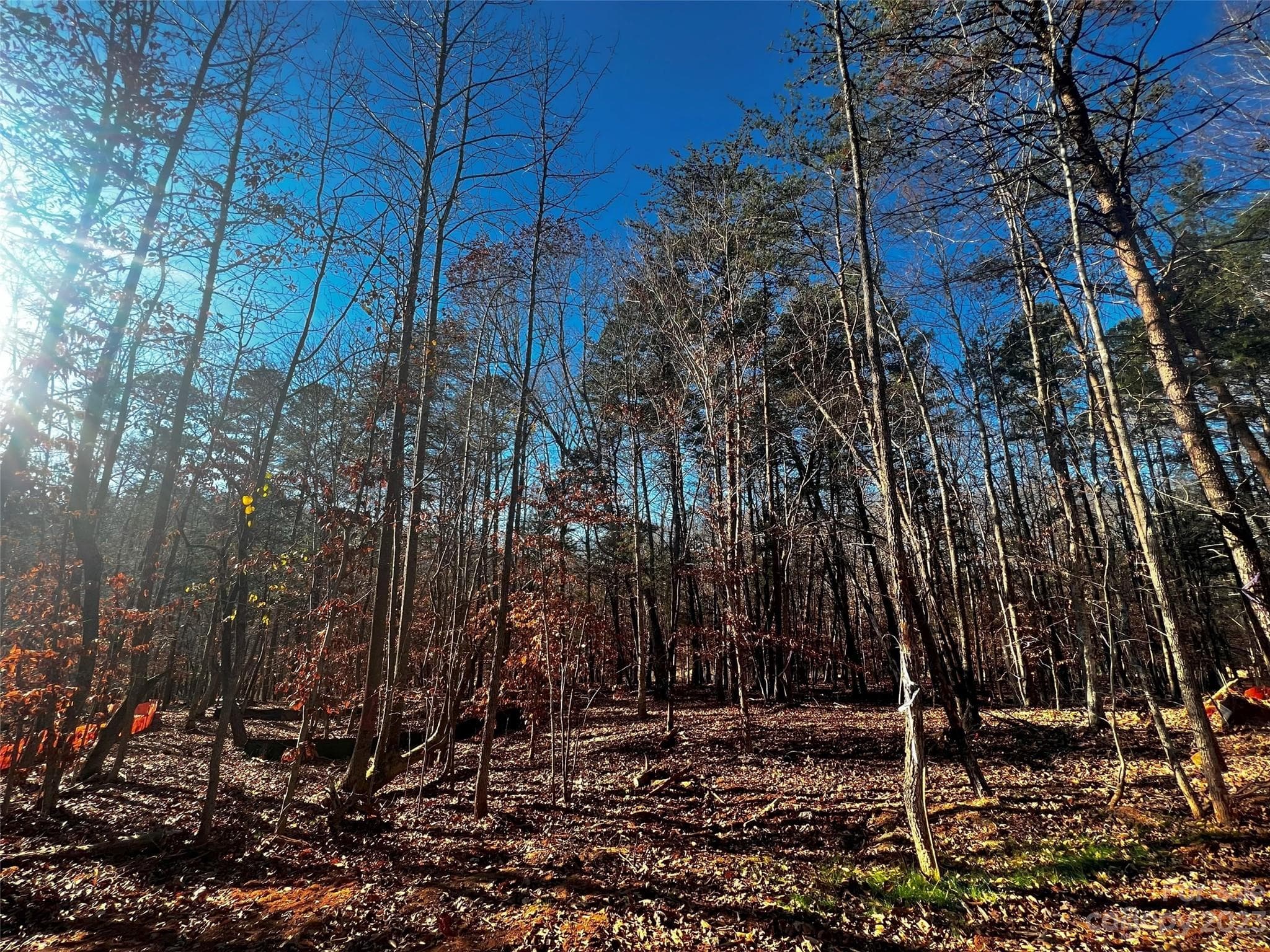 Lot at Davidson, photo 5 of 21