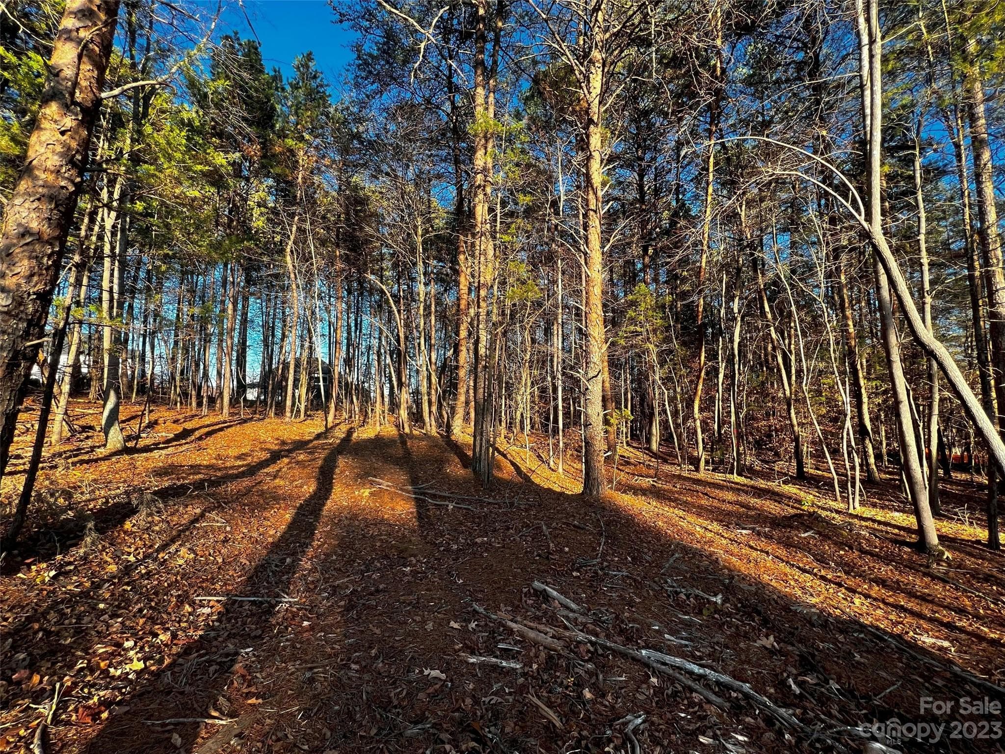 Lot at Davidson, photo 2 of 21