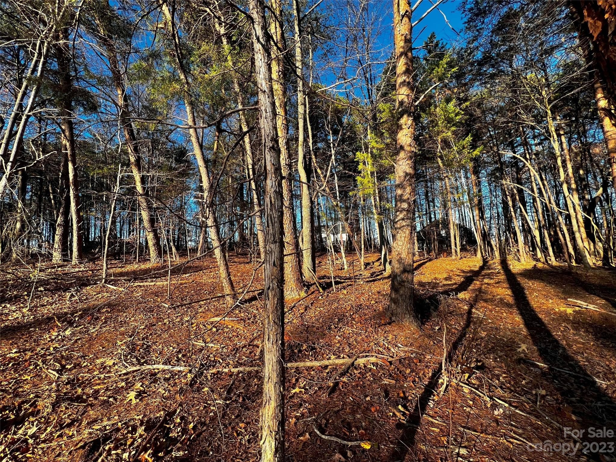 Lot at Davidson, photo 4 of 21