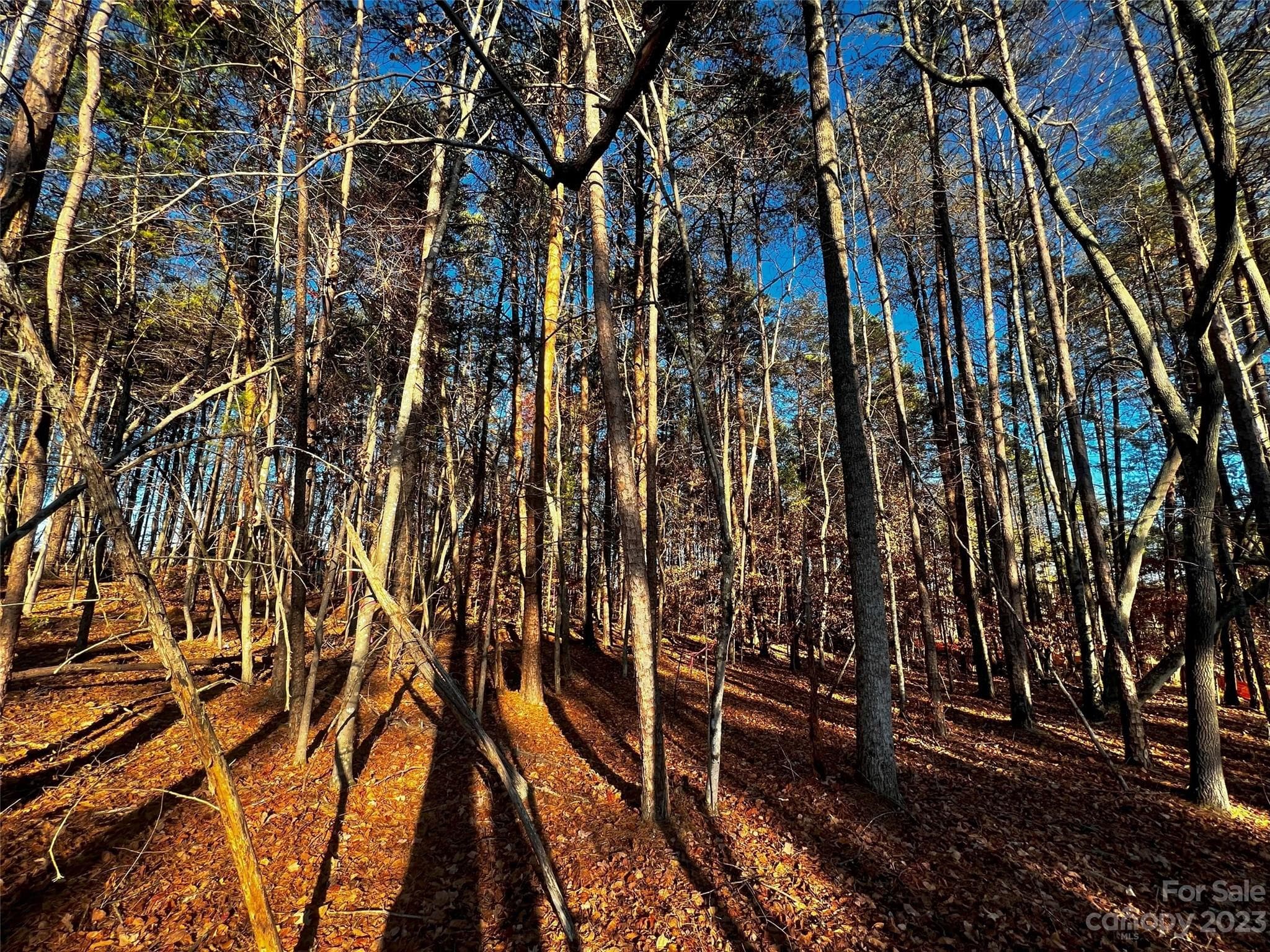 Lot at Davidson, photo 5 of 21