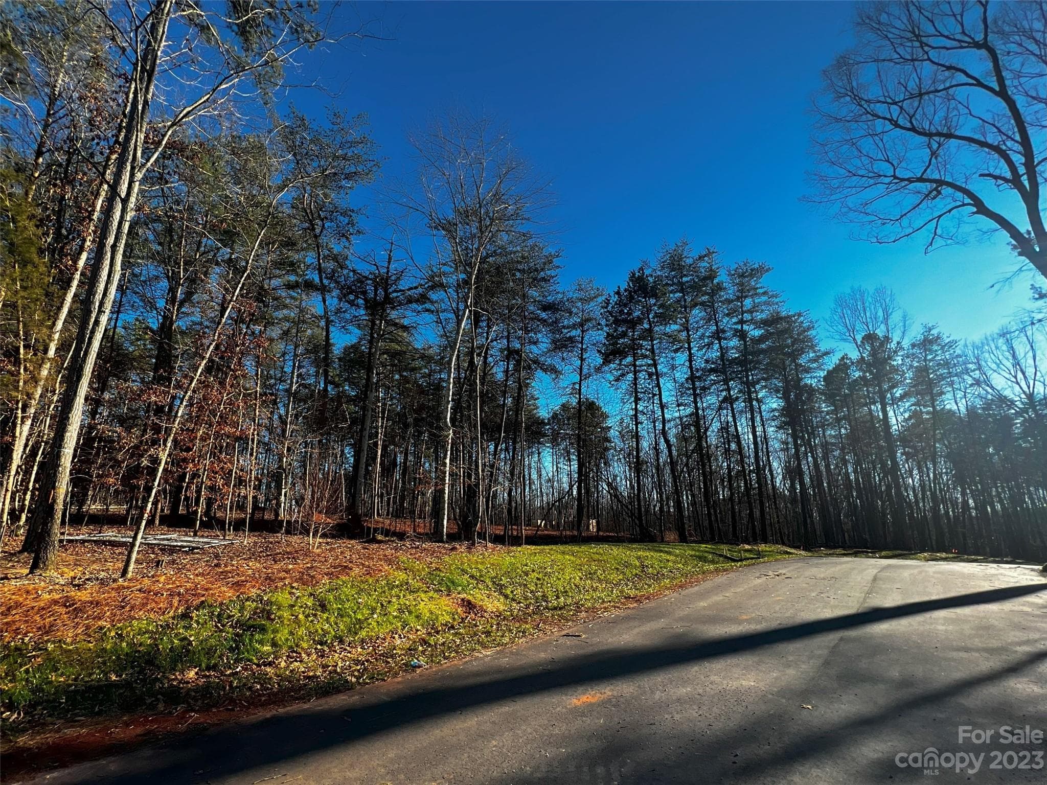 Lot at Davidson, photo 3 of 19
