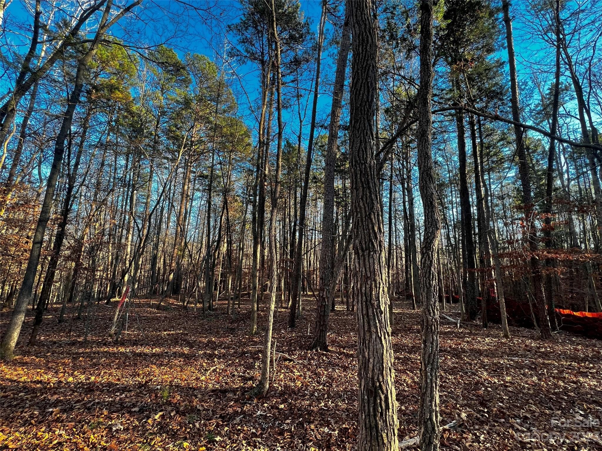 Lot at Davidson, photo 2 of 21