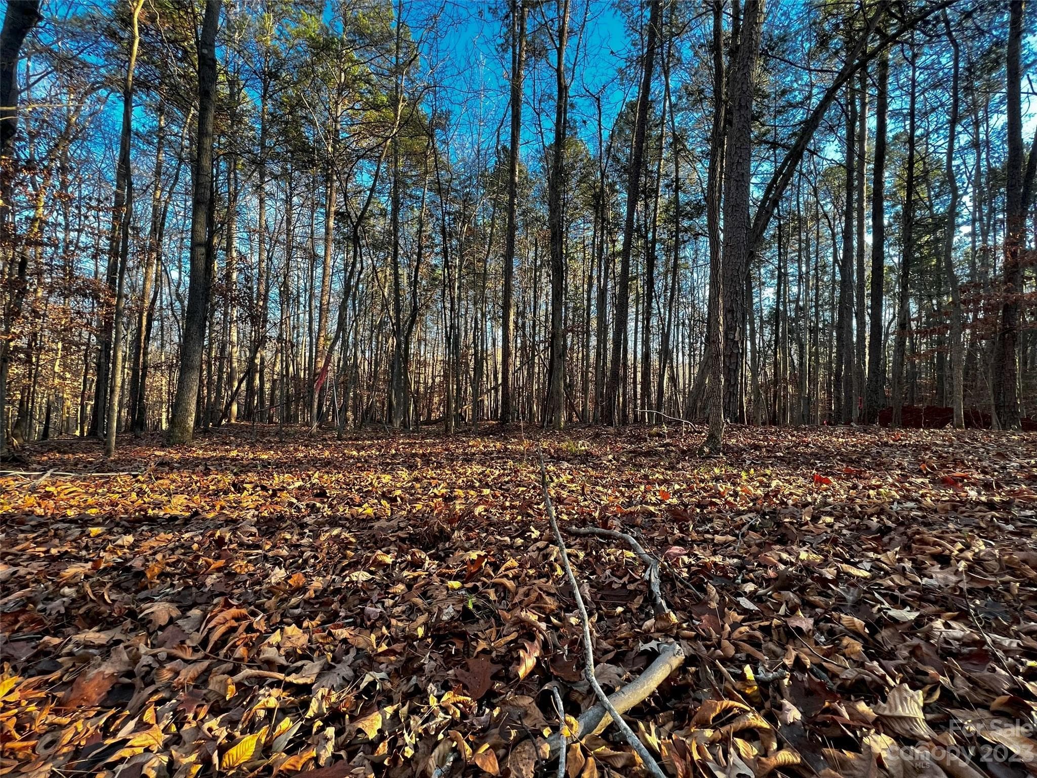 Lot at Davidson, photo 3 of 21