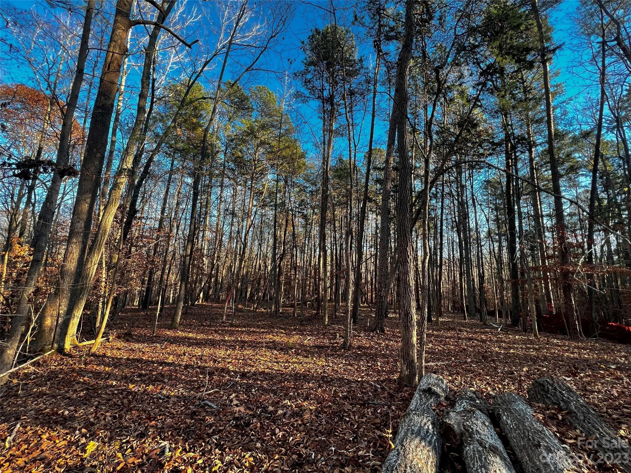 Lot at Davidson, photo 5 of 21