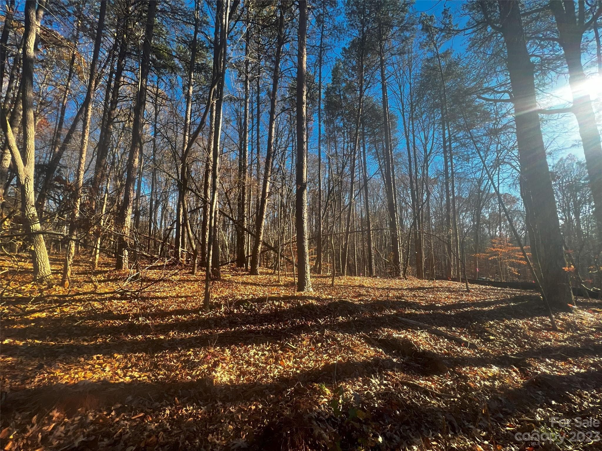 Lot at Davidson, photo 2 of 22