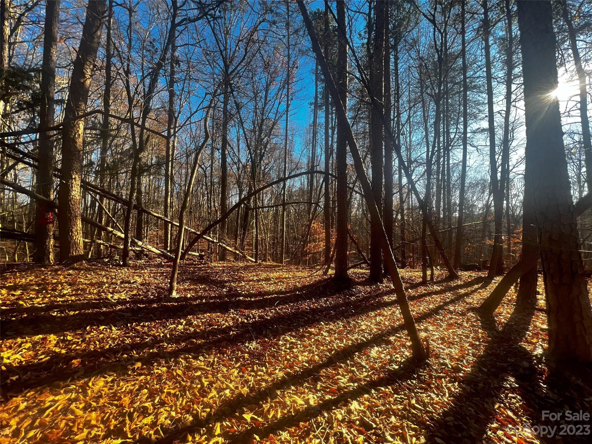 Lot at Davidson, photo 3 of 22