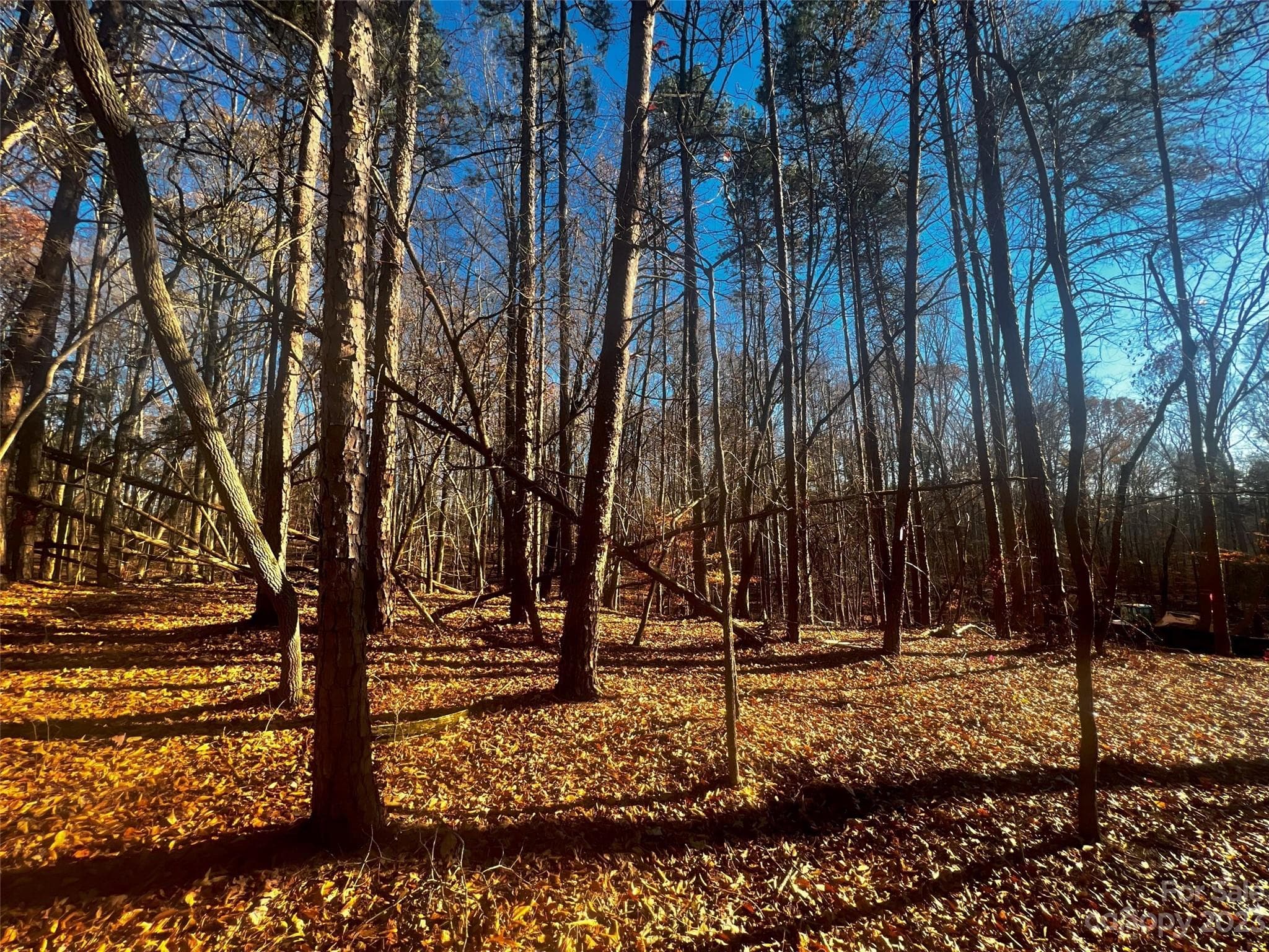 Lot at Davidson, photo 4 of 22
