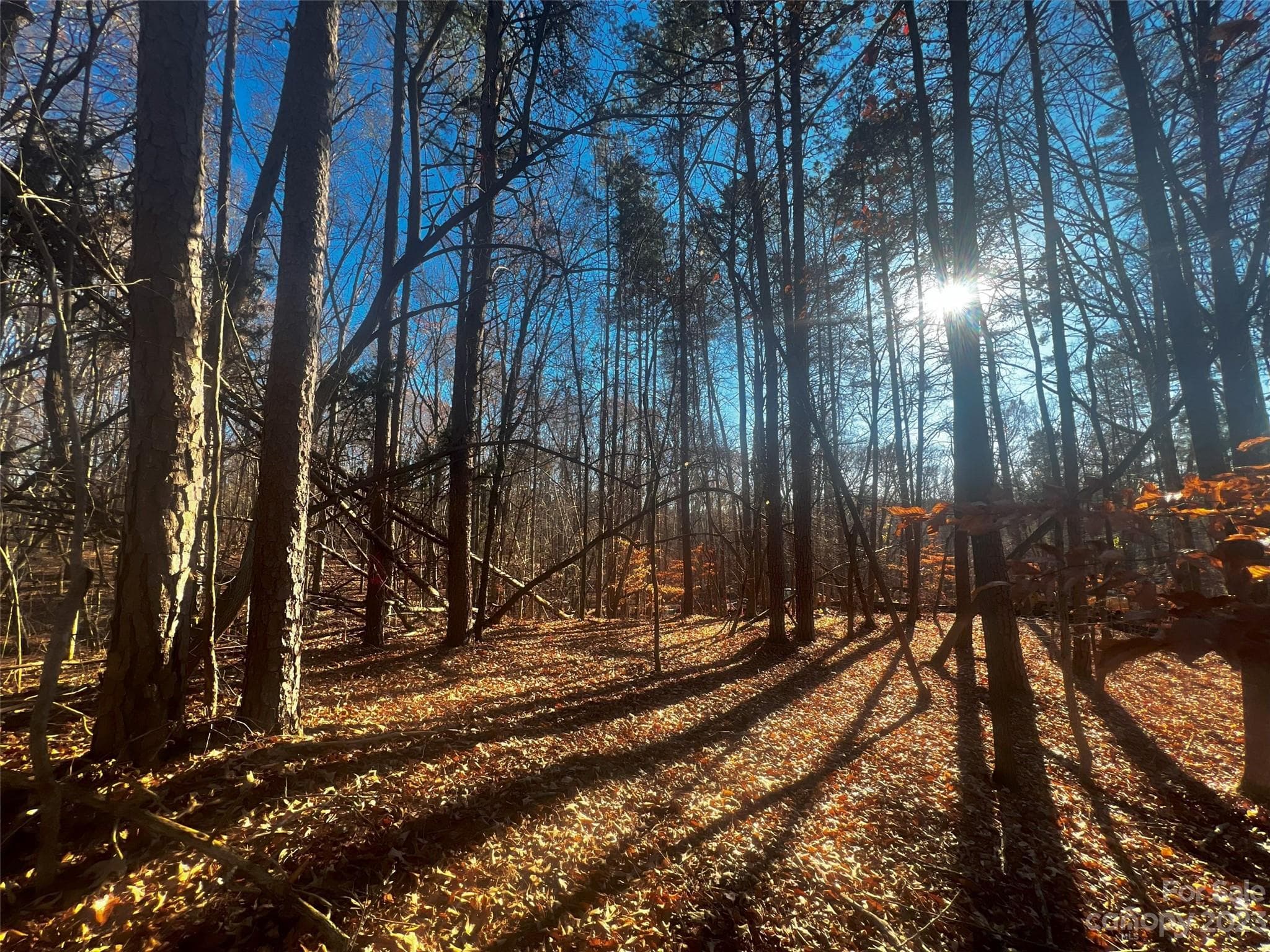 Lot at Davidson, photo 6 of 22