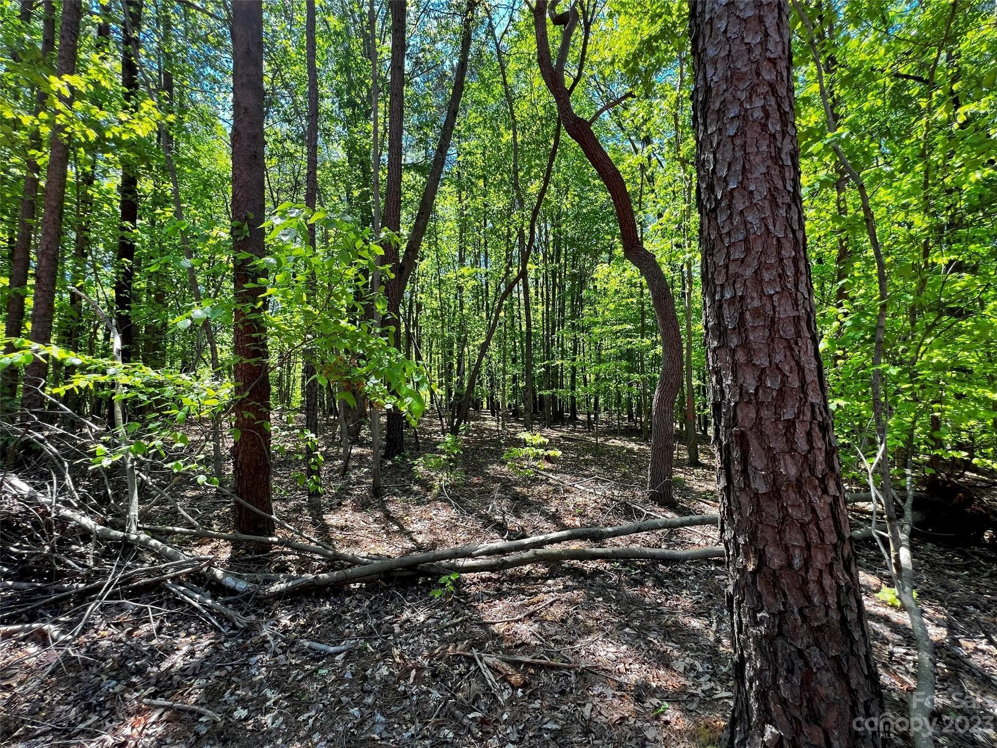 Lot at Davidson, photo 15 of 22