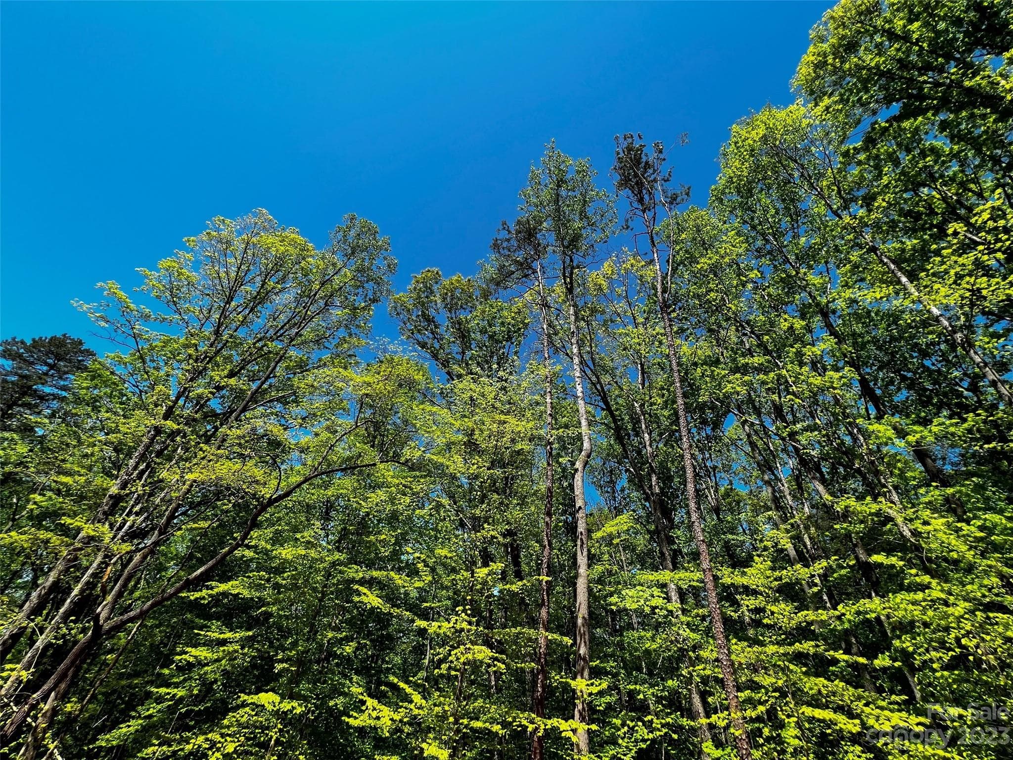 Lot at Davidson, photo 17 of 22