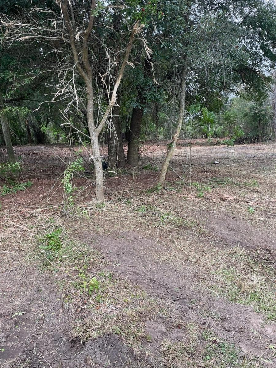 Land at US HWY 27, FROSTPROOF, photo 4 of 5
