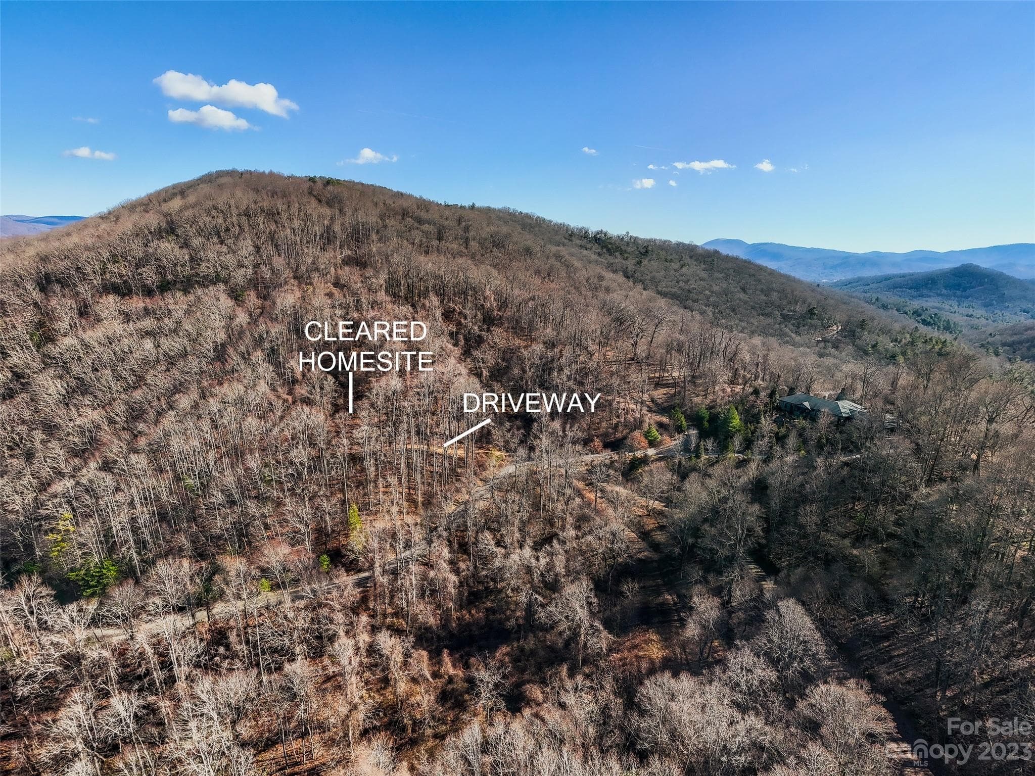 64 Flora Rose Trail