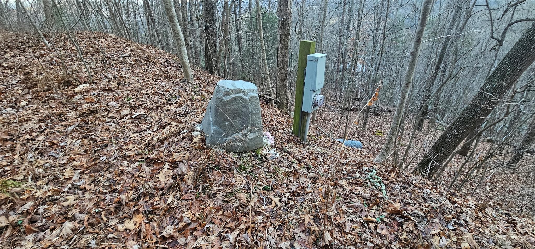 Lot at Waynesville, photo 2 of 28