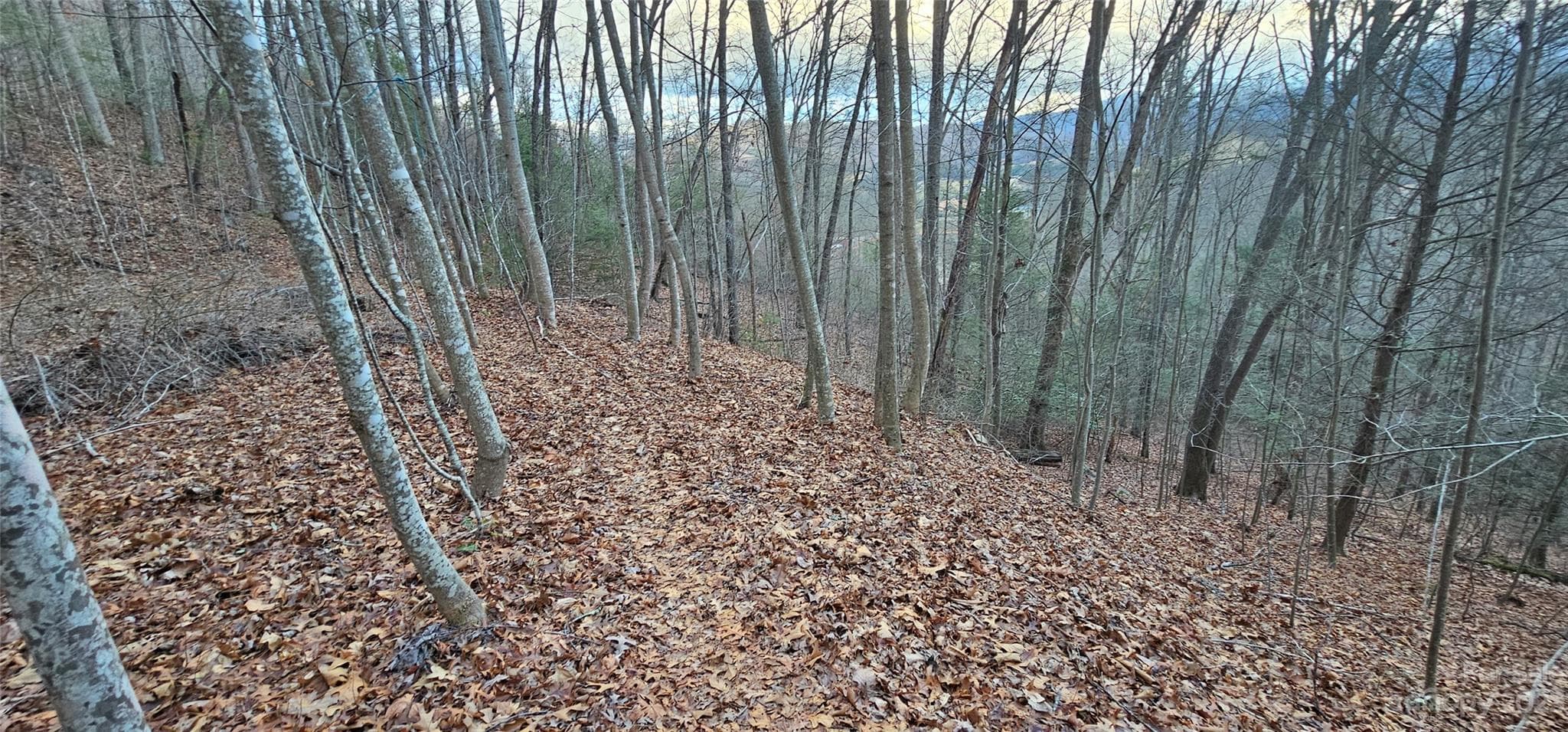 Lot at Waynesville, photo 2 of 38
