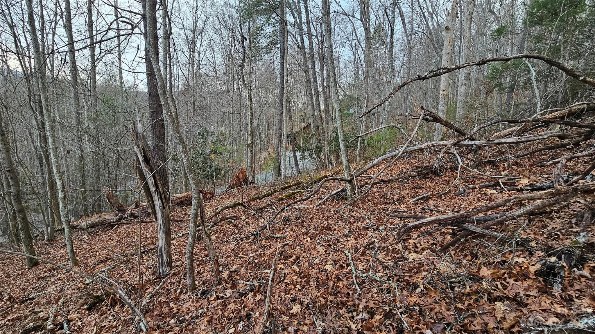Lot at Waynesville, photo 2 of 35