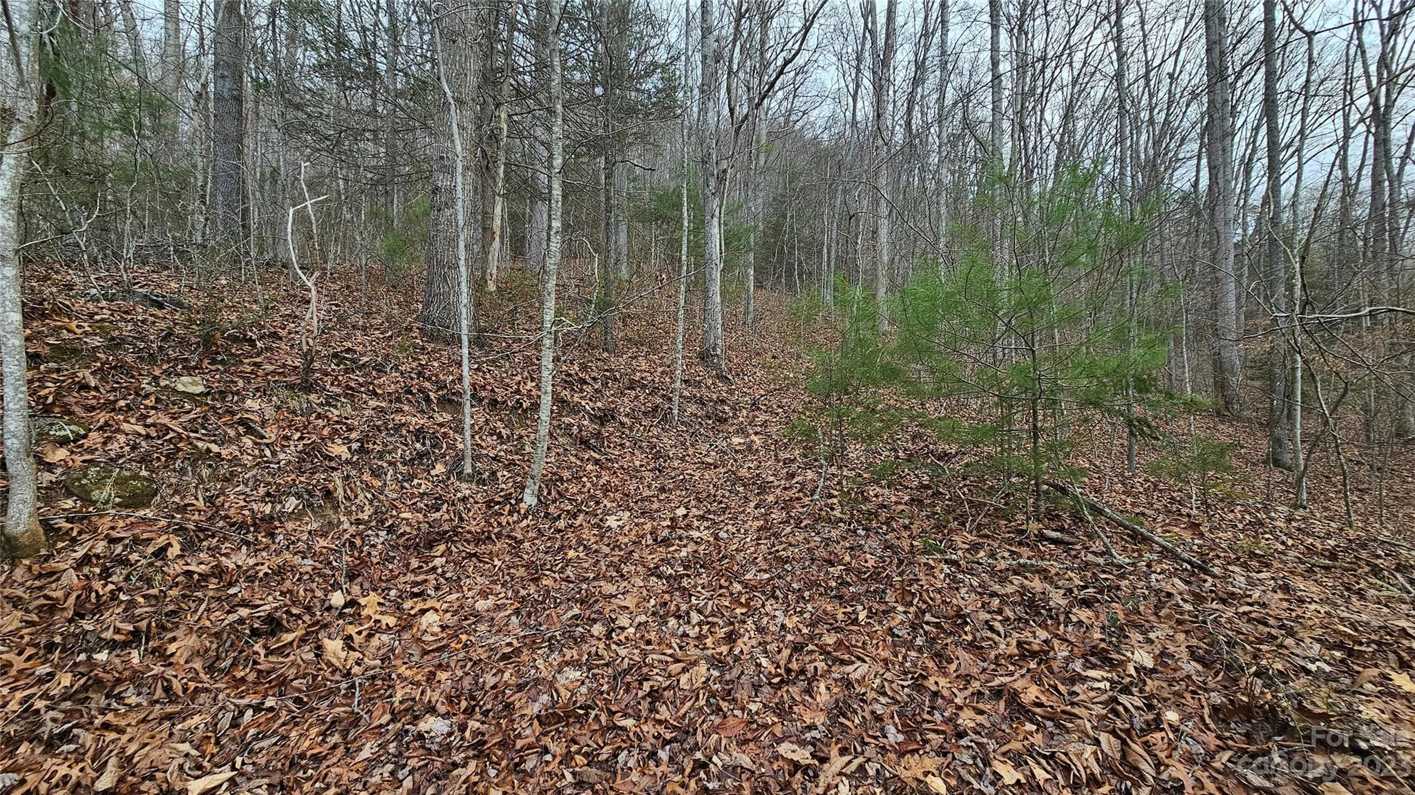 Lot at Waynesville, photo 2 of 29