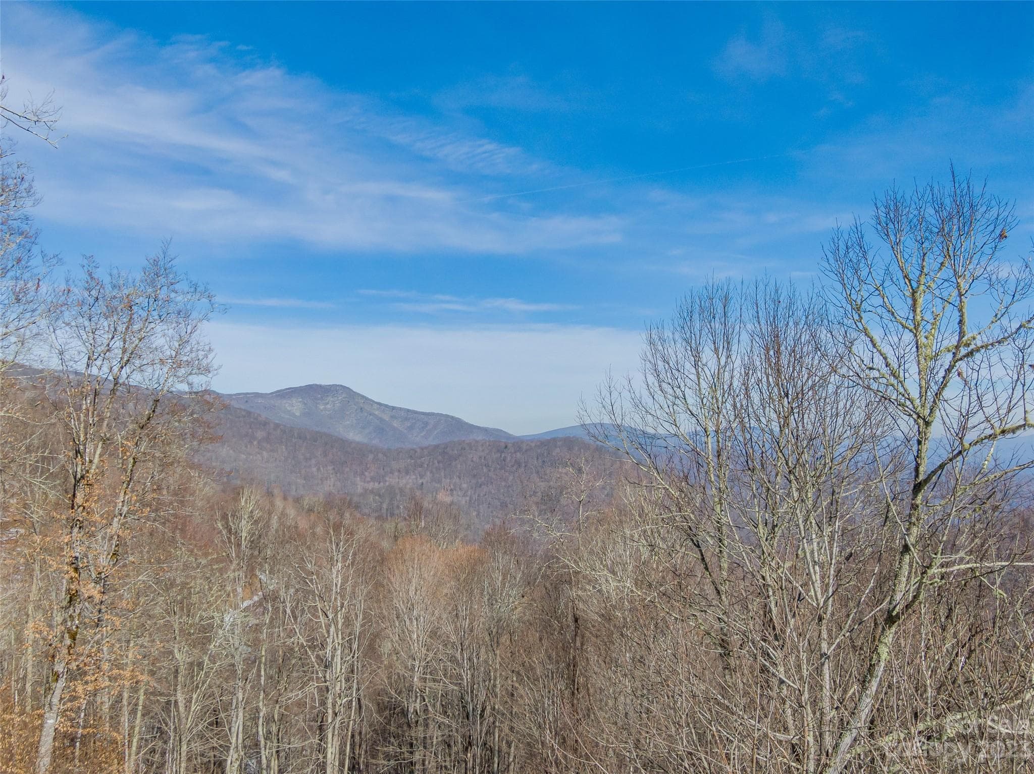 Lot at Lot 42 Black Bear Run, Mars Hill, photo 5 of 27
