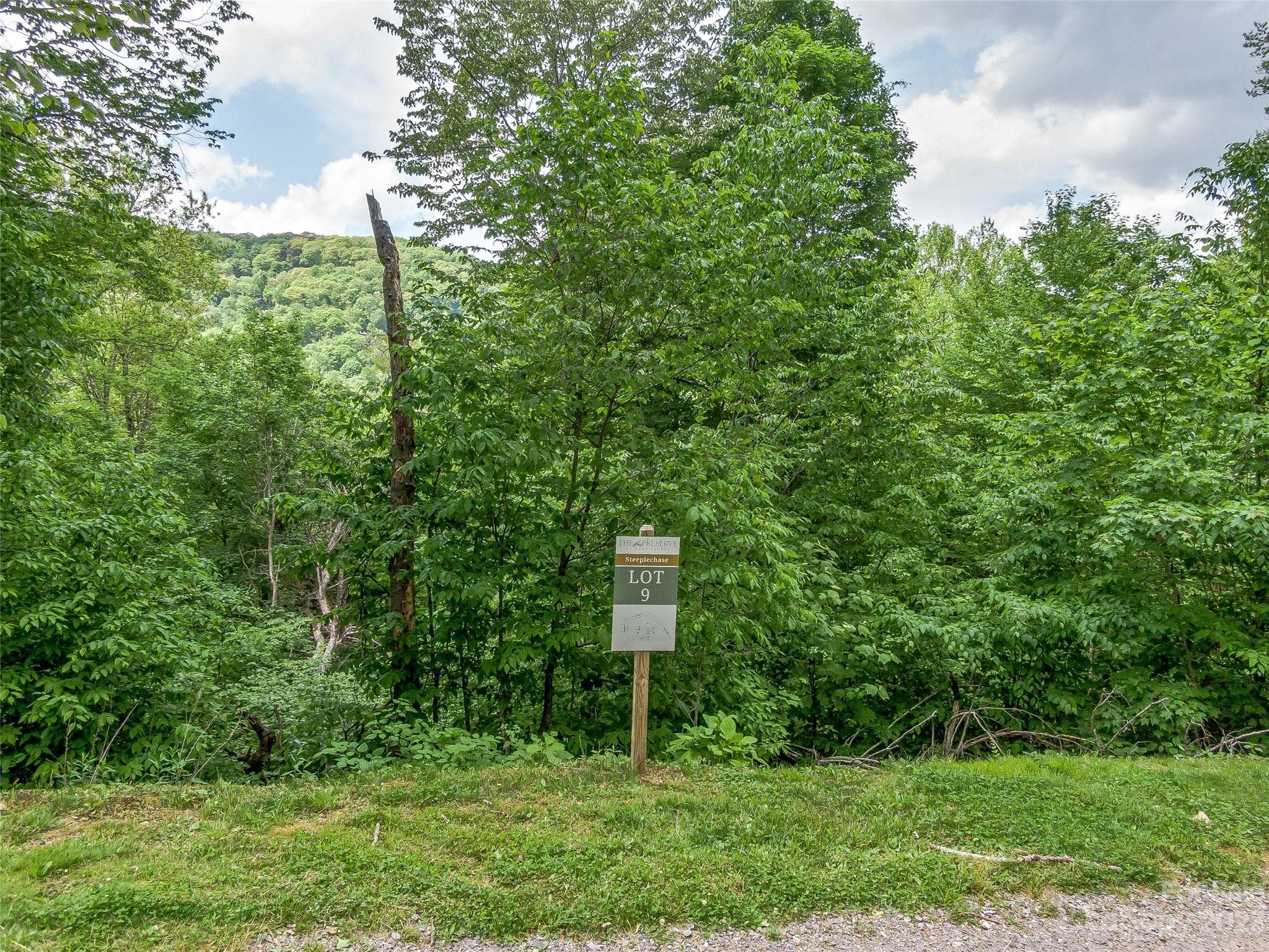 Lot at Lot 9 Mountain Gait Drive, Mars Hill, photo 15 of 44