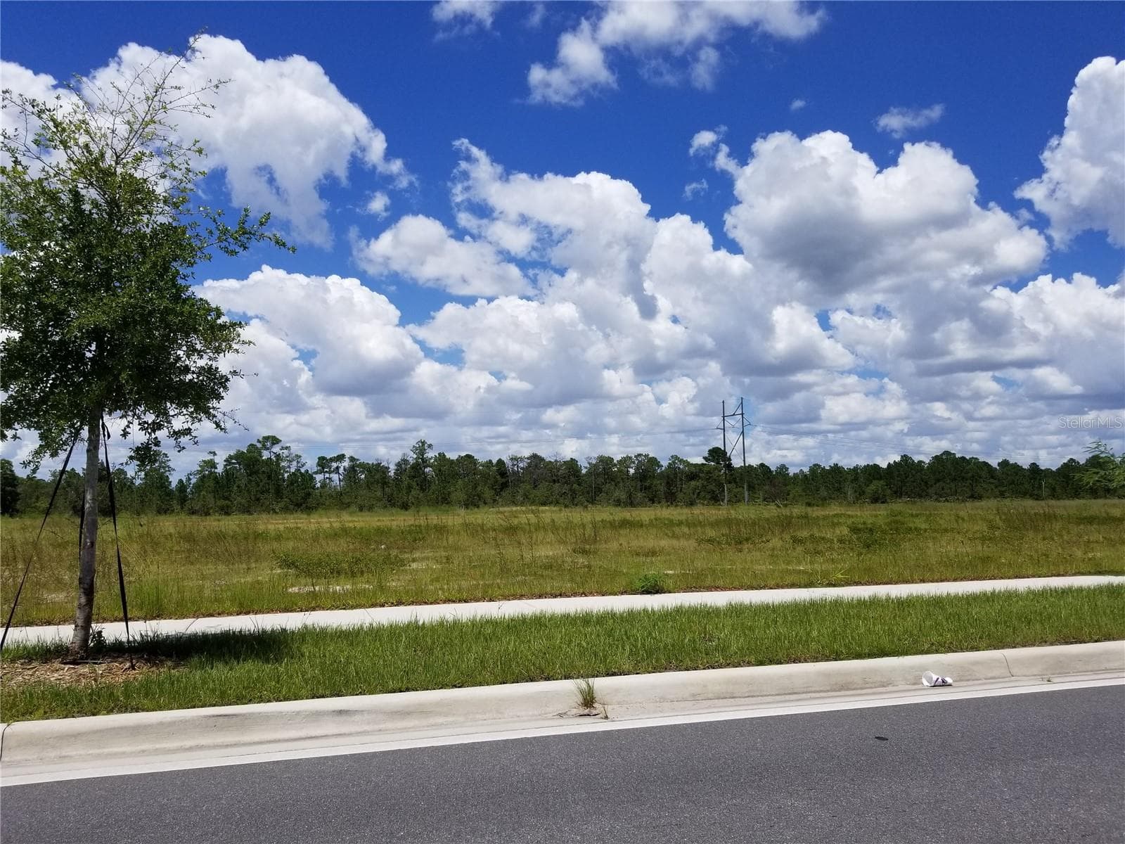 S APOPKA VINELAND RD