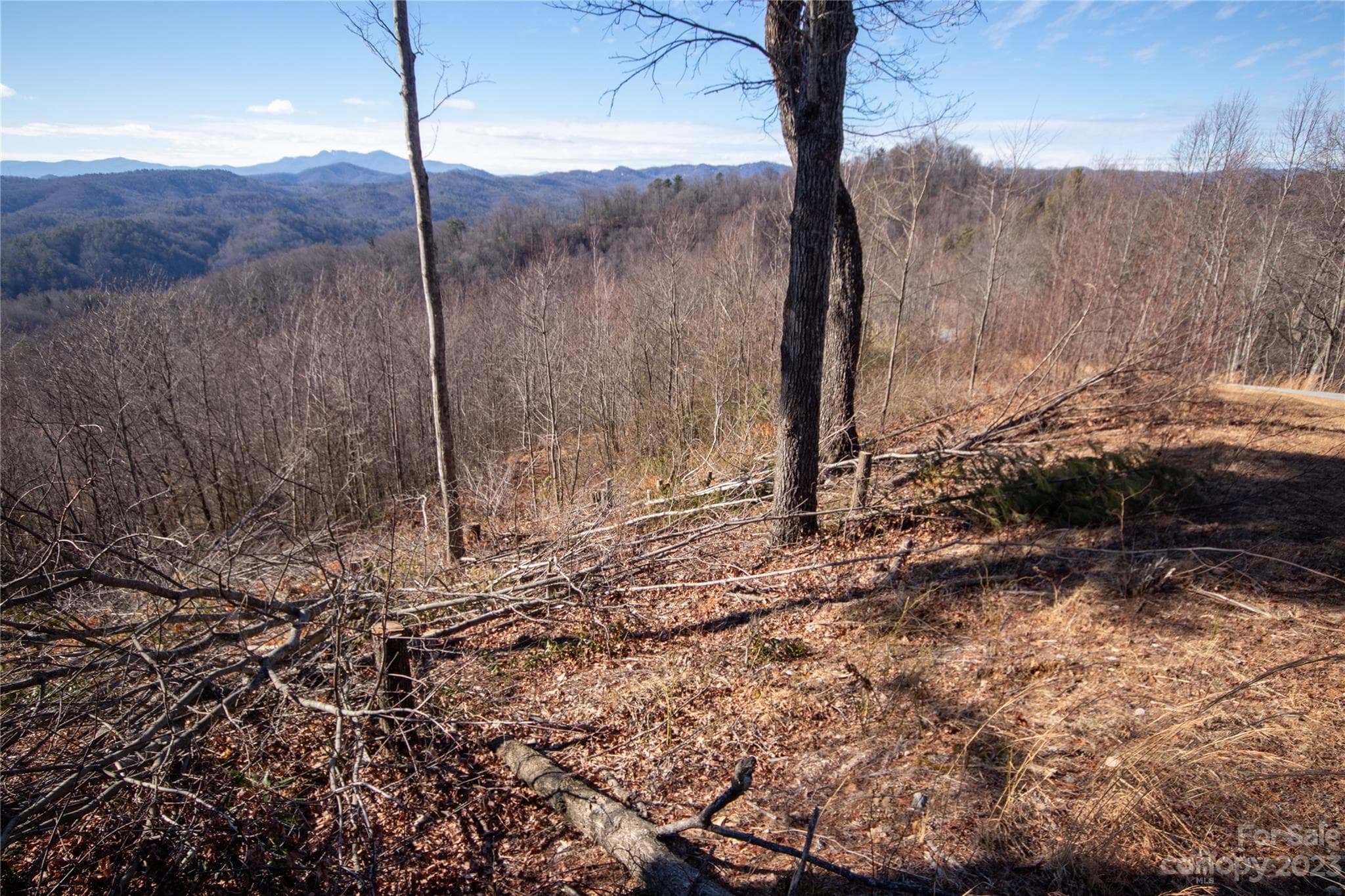 Lot Has Been Partially Cleared - Lenoir