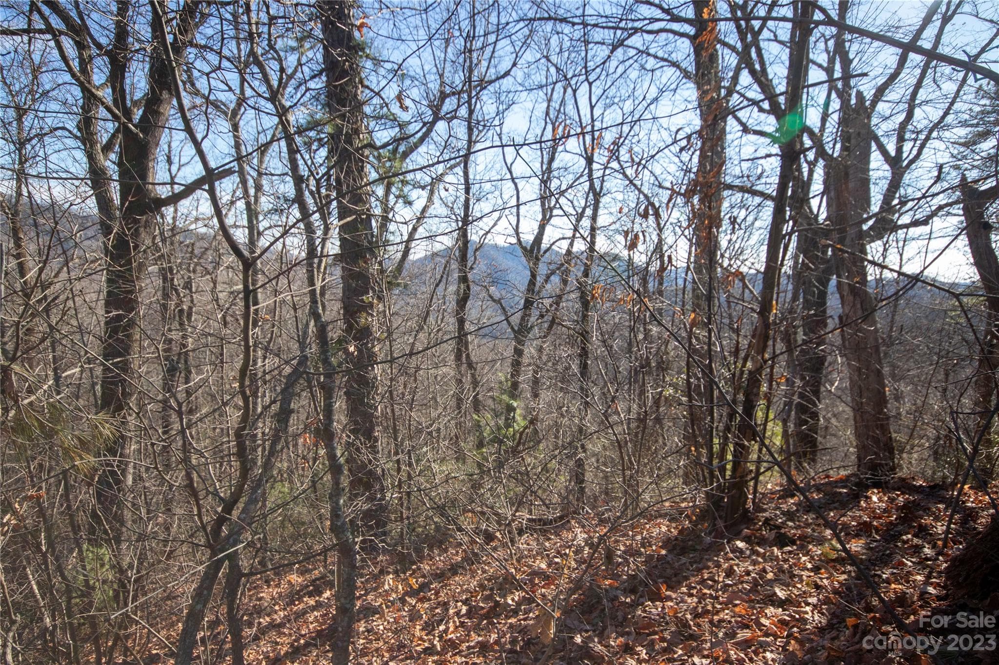 Lot at Lenoir, photo 2 of 44