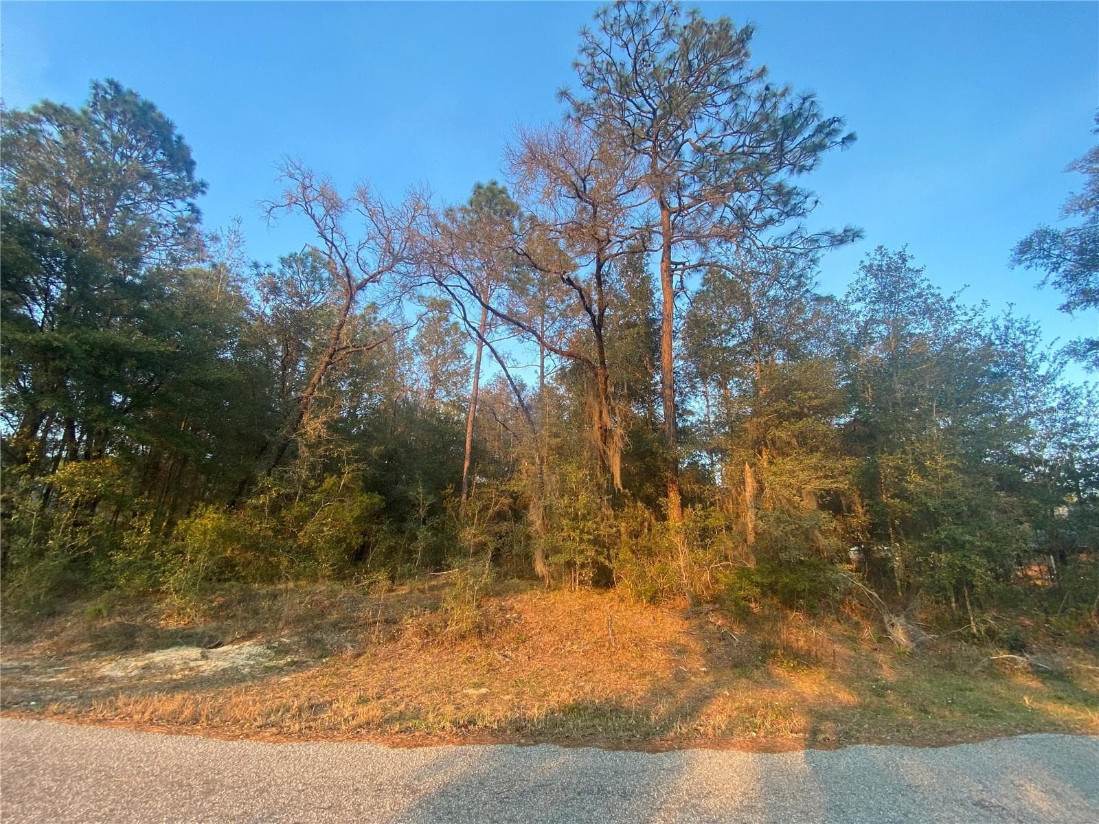 Lot 28 SW 206 CIR