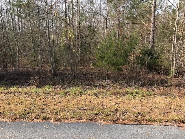 Lot at 00 Woodstock Lane, Rutherfordton, photo 4 of 10
