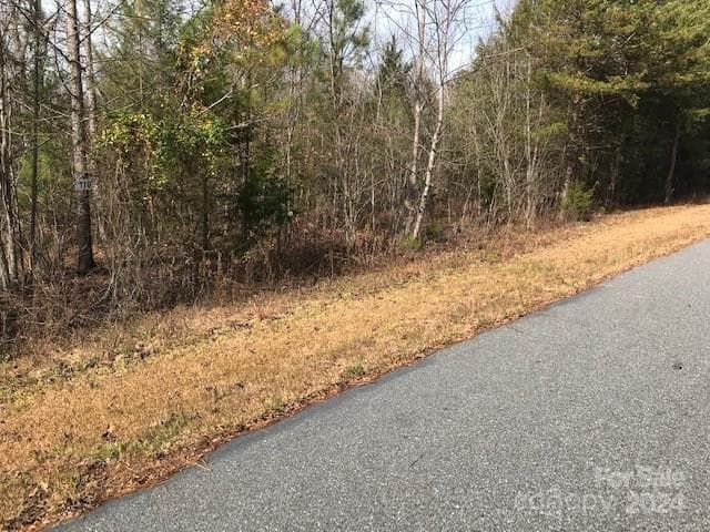 Lot at 00 Woodstock Lane, Rutherfordton, photo 6 of 10