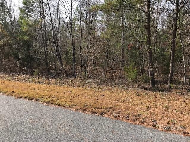 Lot at 00 Woodstock Lane, Rutherfordton, photo 7 of 10