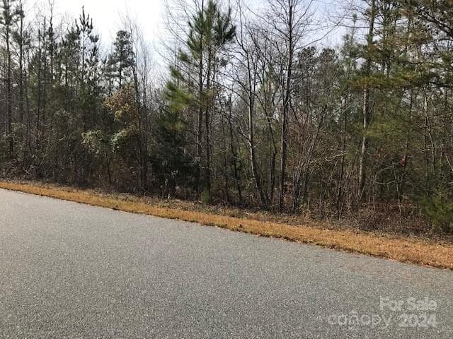 Lot at 00 Woodstock Lane, Rutherfordton, photo 8 of 10