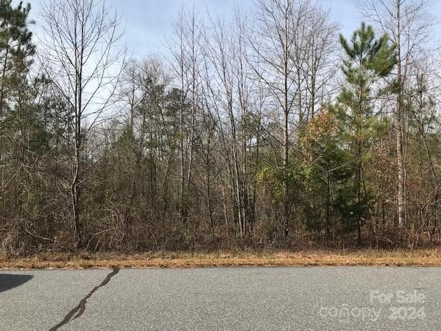Lot at 00 Woodstock Lane, Rutherfordton, photo 9 of 10