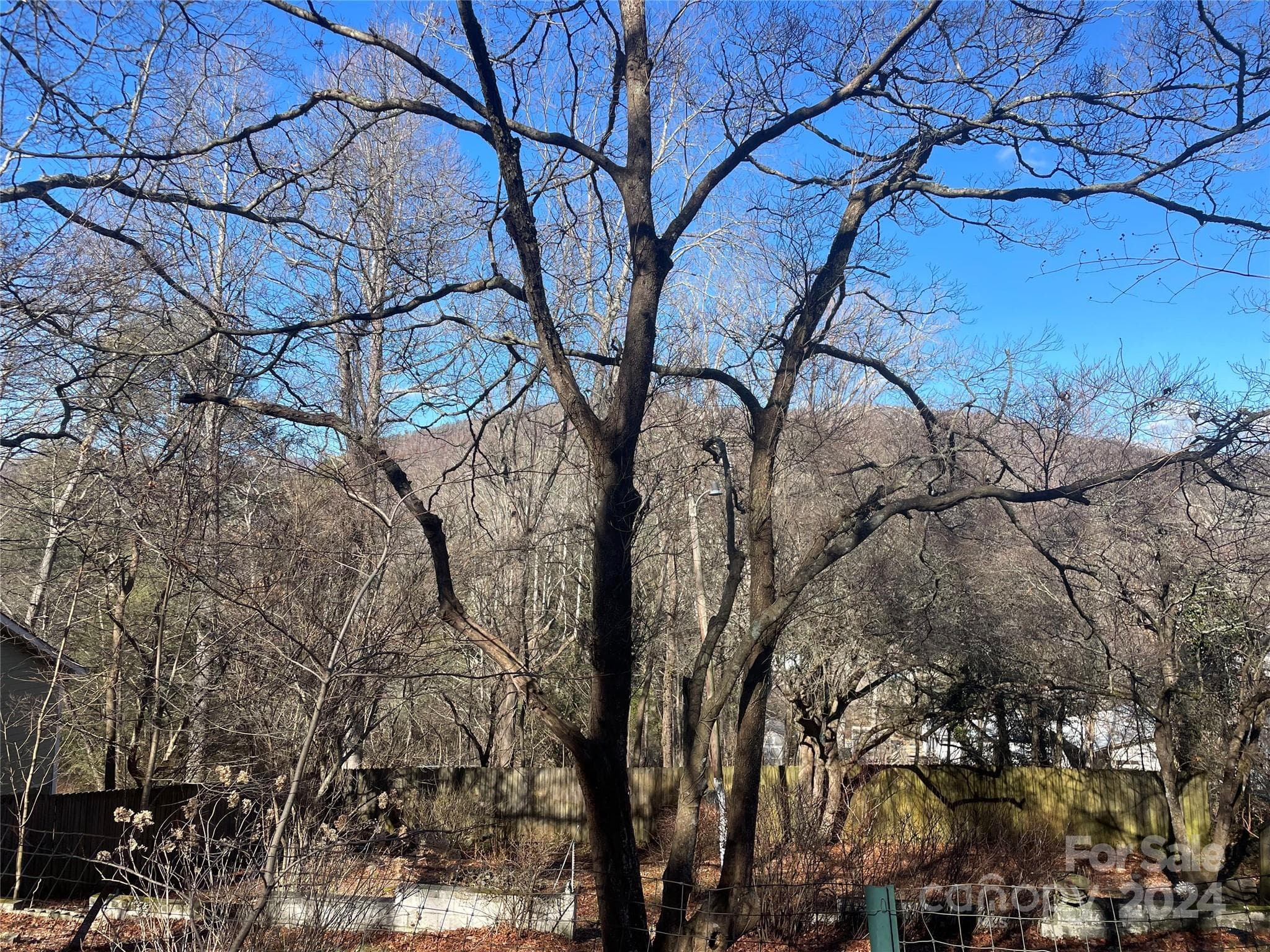 Lot at 146 Center Street, Black Mountain, photo 2 of 14